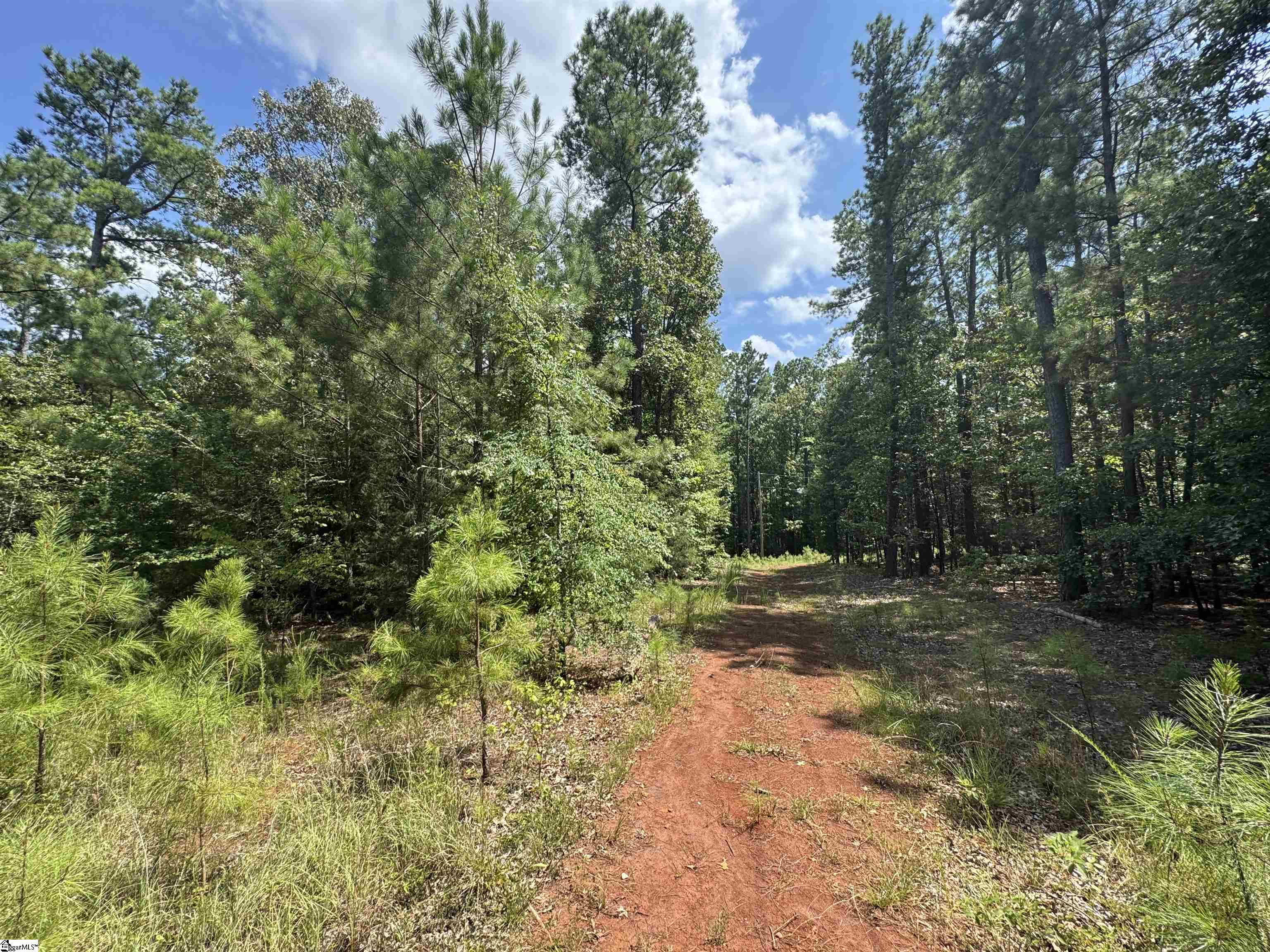 1324 Highway 81 N Calhoun Falls, SC 29628