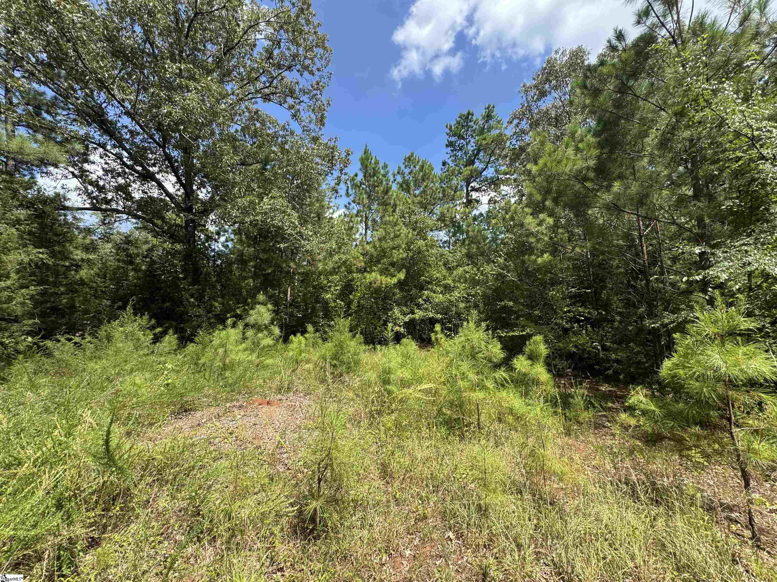 1324 Highway 81 N Calhoun Falls, SC 29628