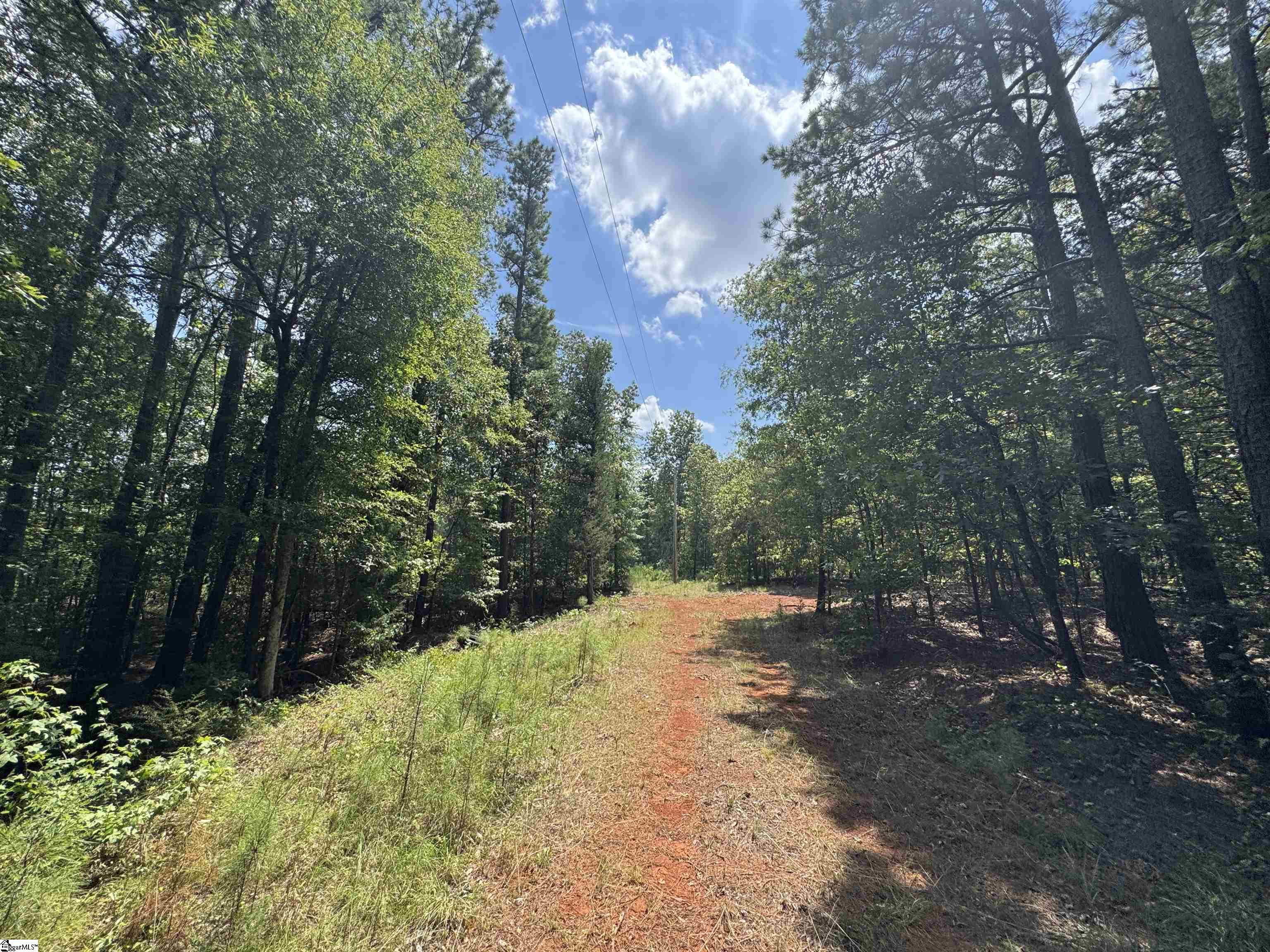 1324 Highway 81 N Calhoun Falls, SC 29628