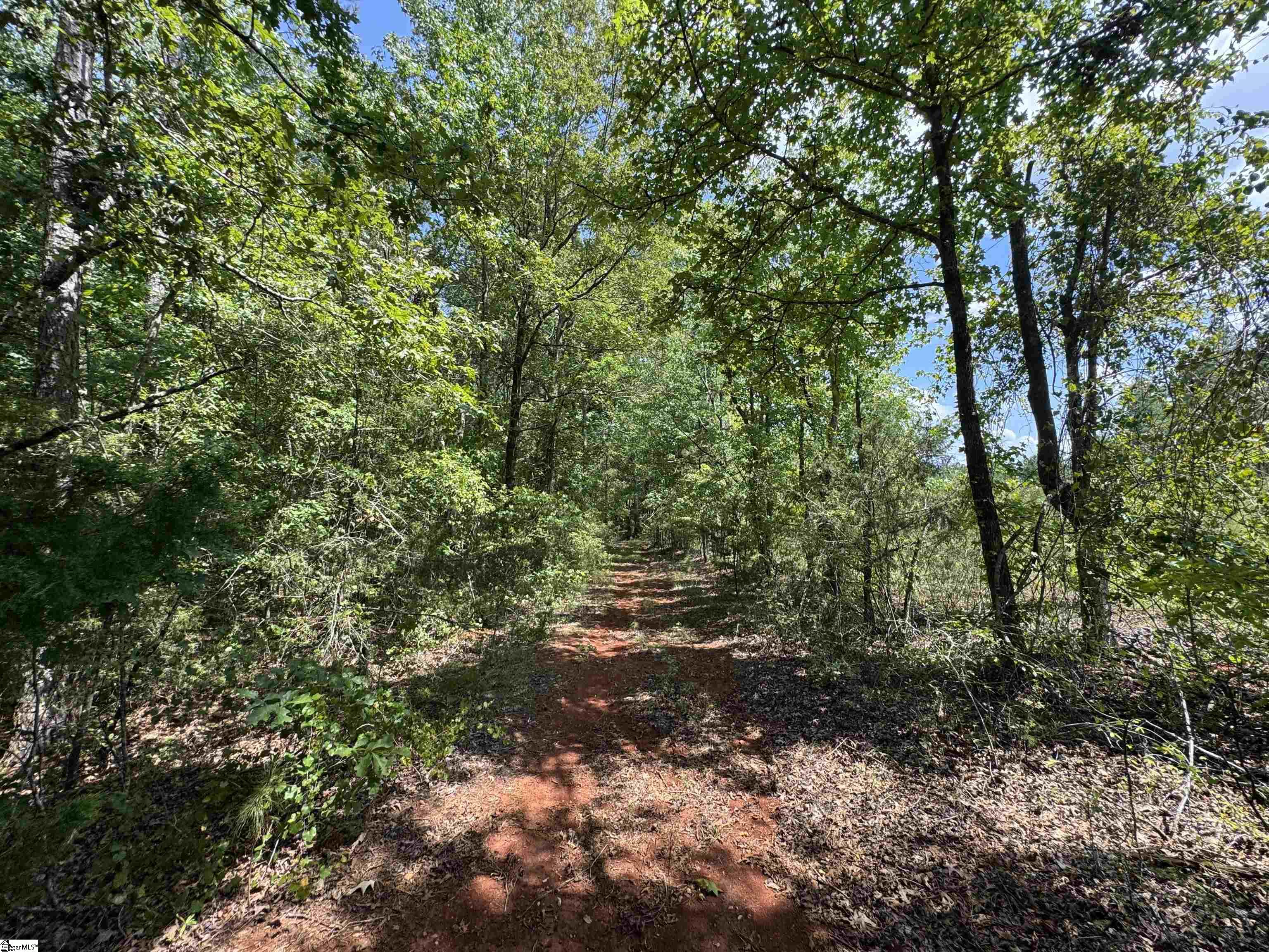 1324 Highway 81 N Calhoun Falls, SC 29628
