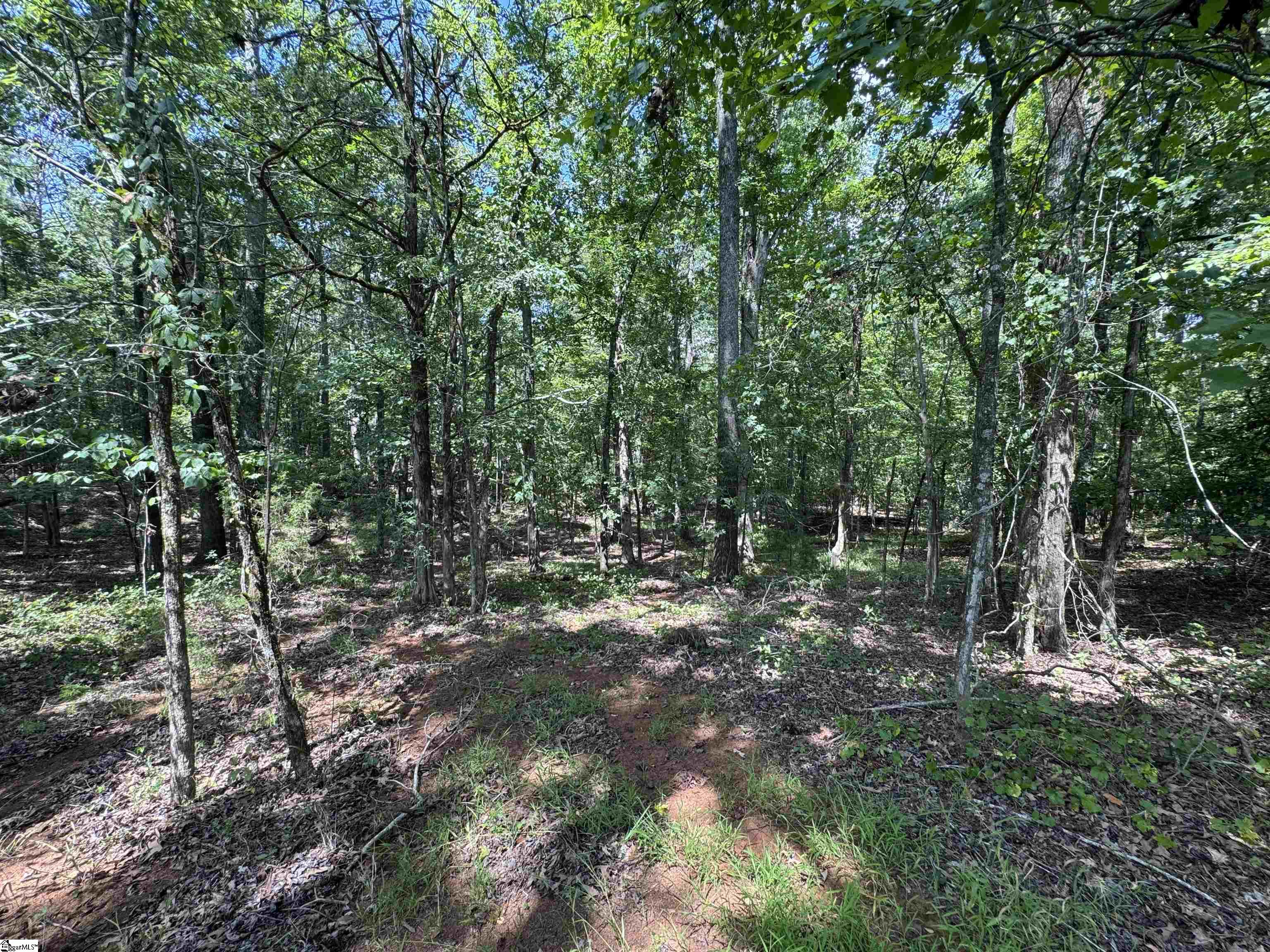 1324 Highway 81 N Calhoun Falls, SC 29628