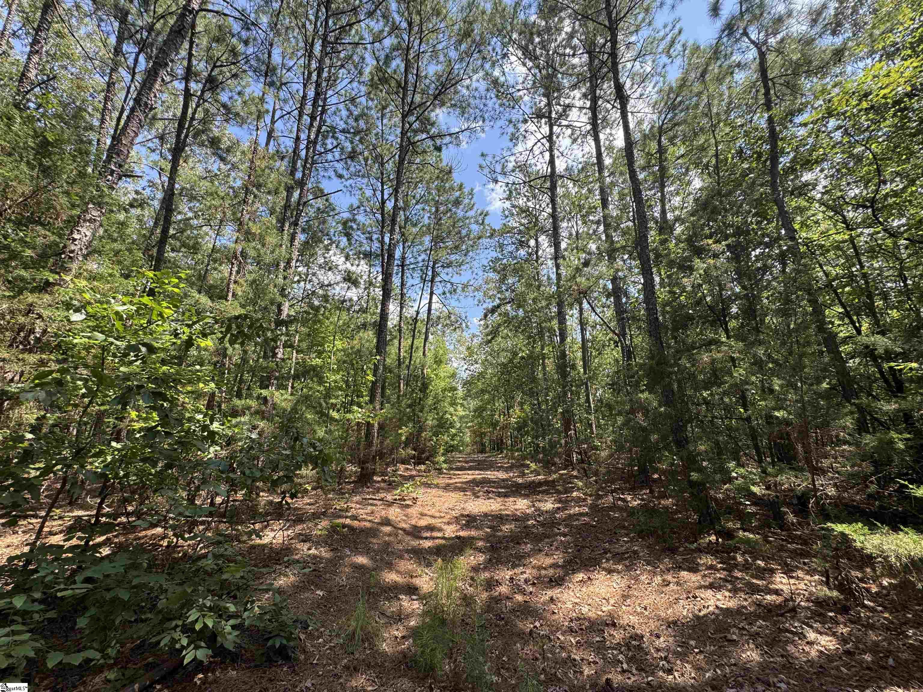 1324 Highway 81 N Calhoun Falls, SC 29628