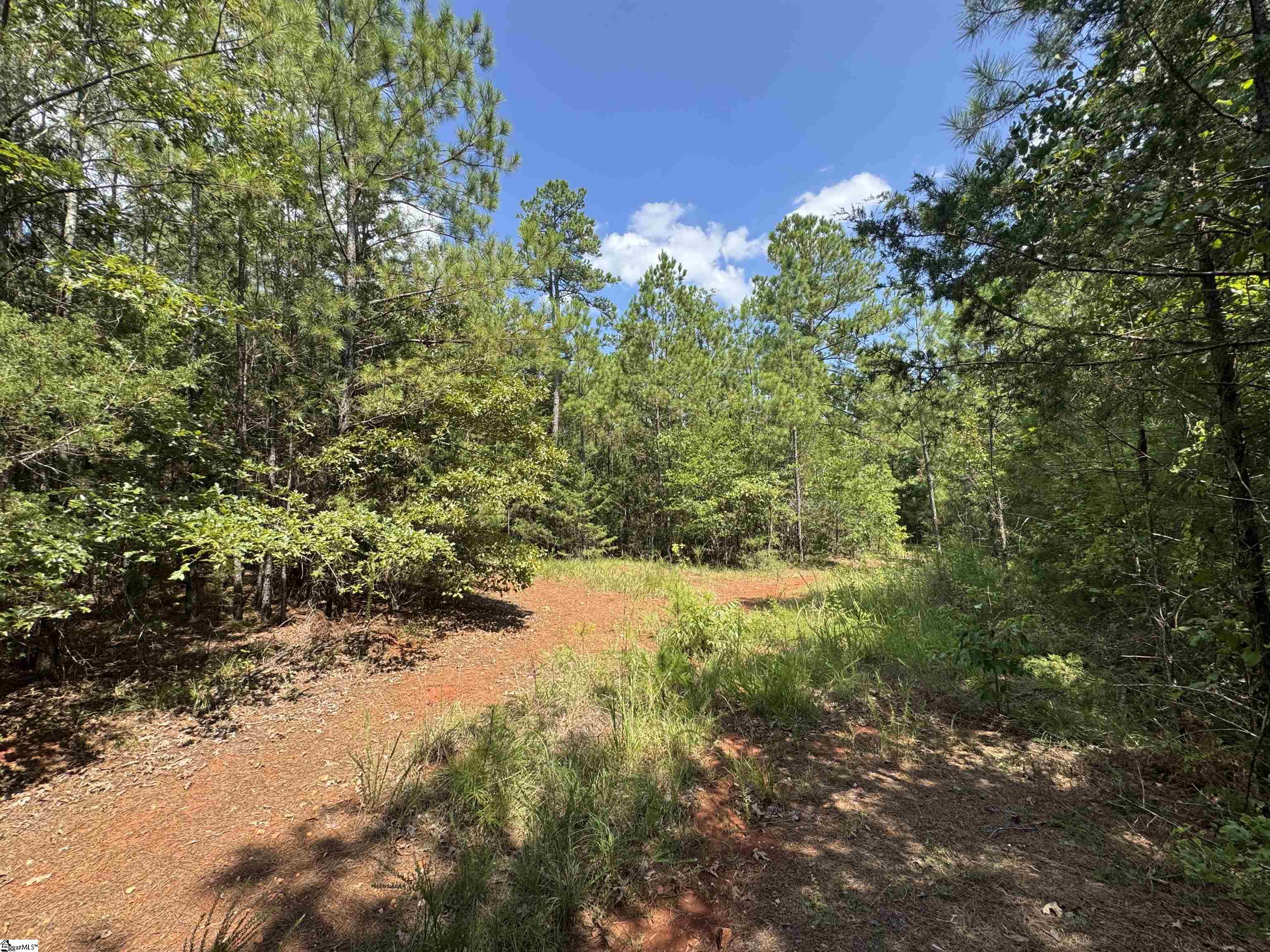 1324 Highway 81 N Calhoun Falls, SC 29628