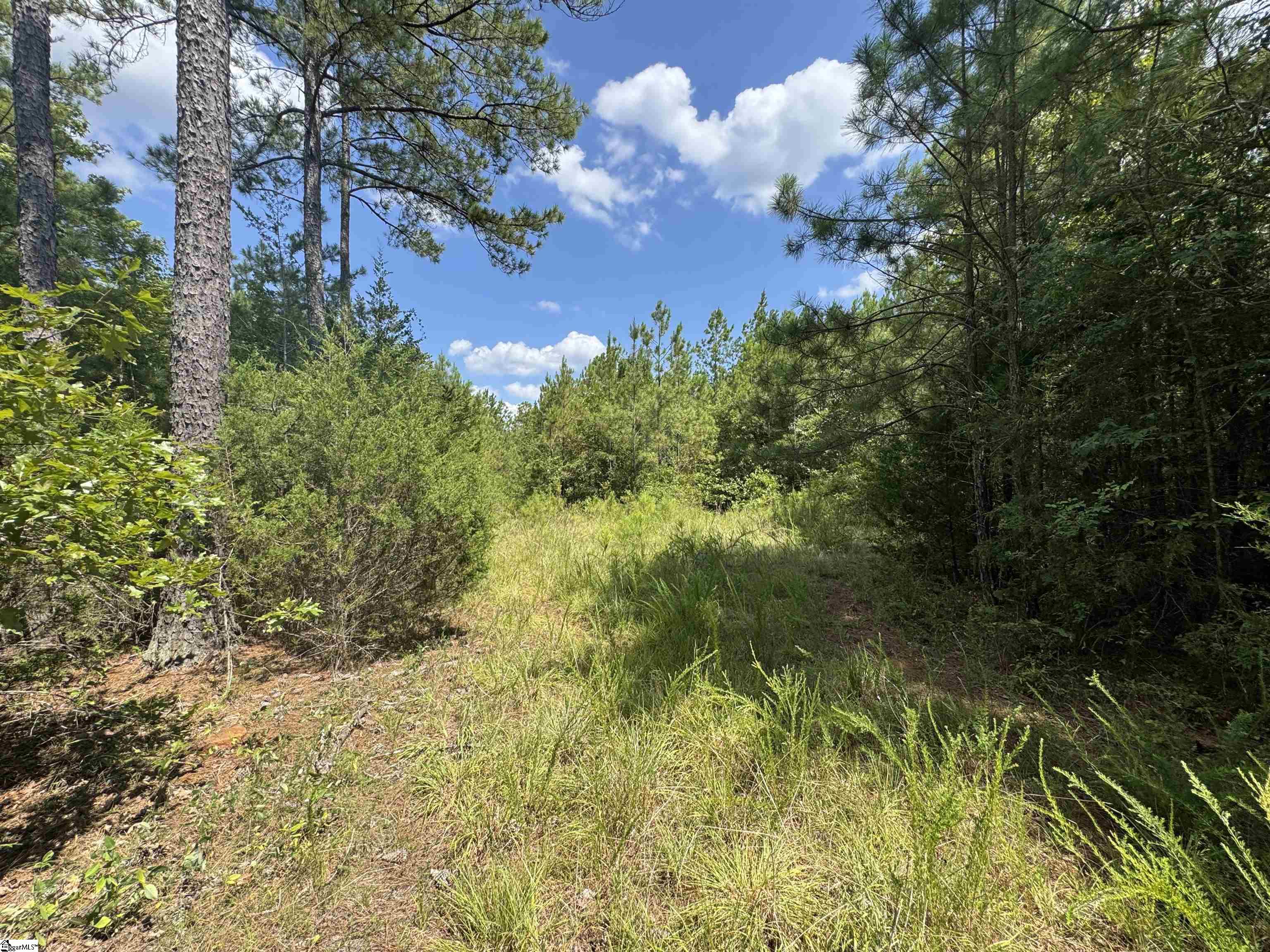 1324 Highway 81 N Calhoun Falls, SC 29628