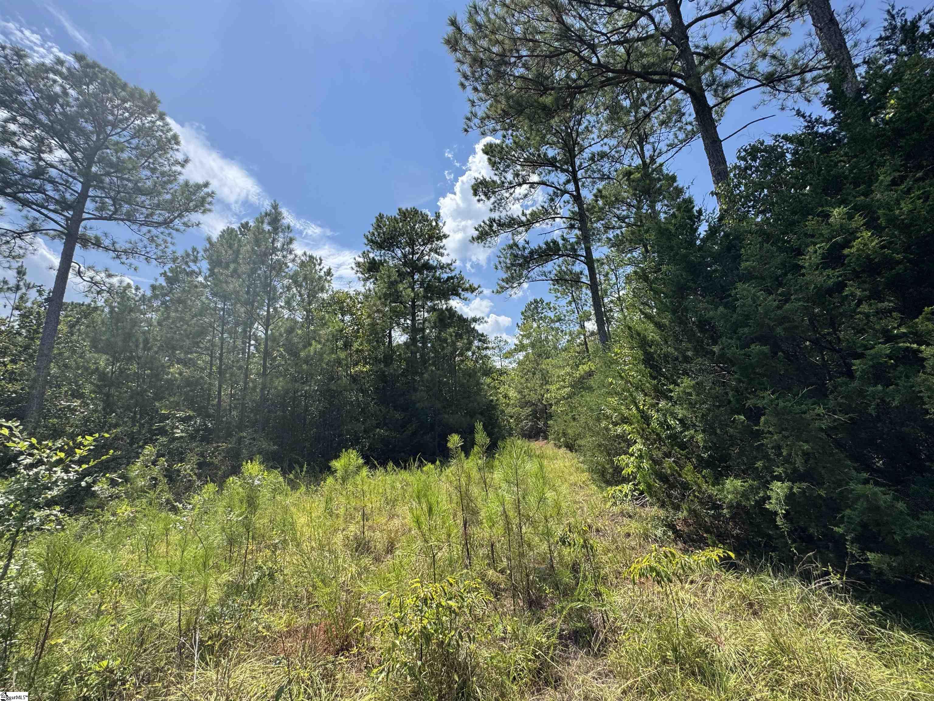 1324 Highway 81 N Calhoun Falls, SC 29628