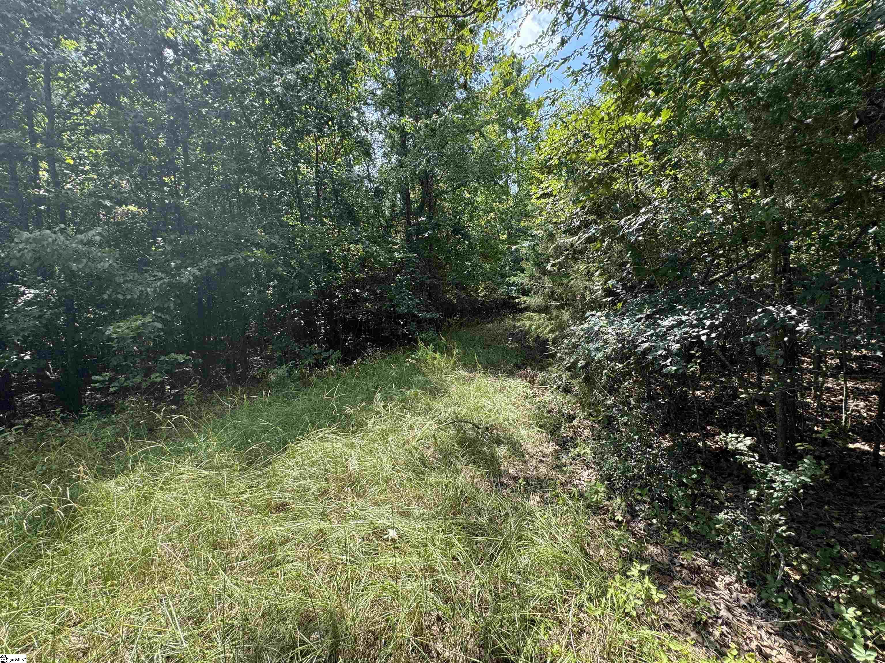 1324 Highway 81 N Calhoun Falls, SC 29628