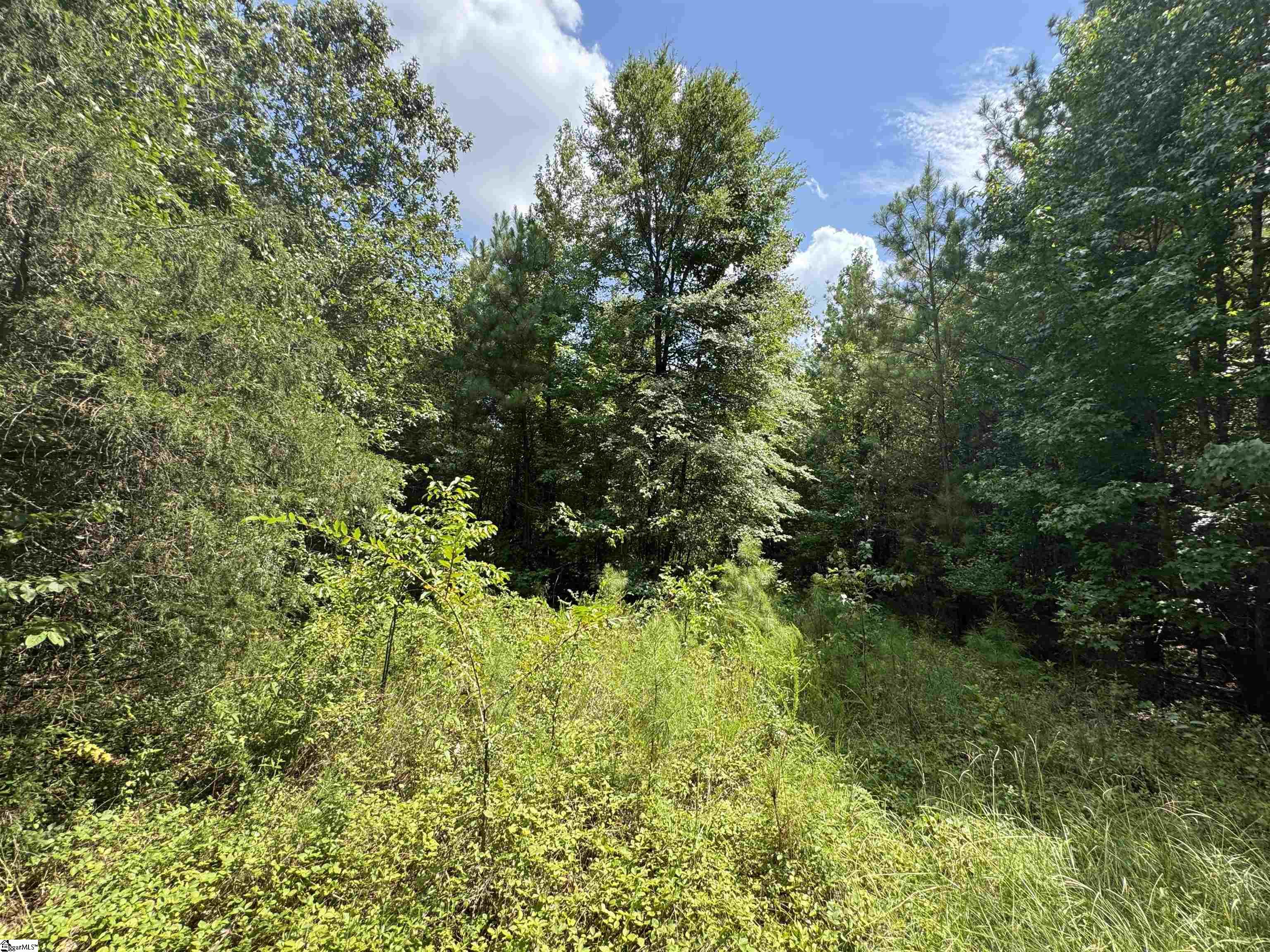 1324 Highway 81 N Calhoun Falls, SC 29628