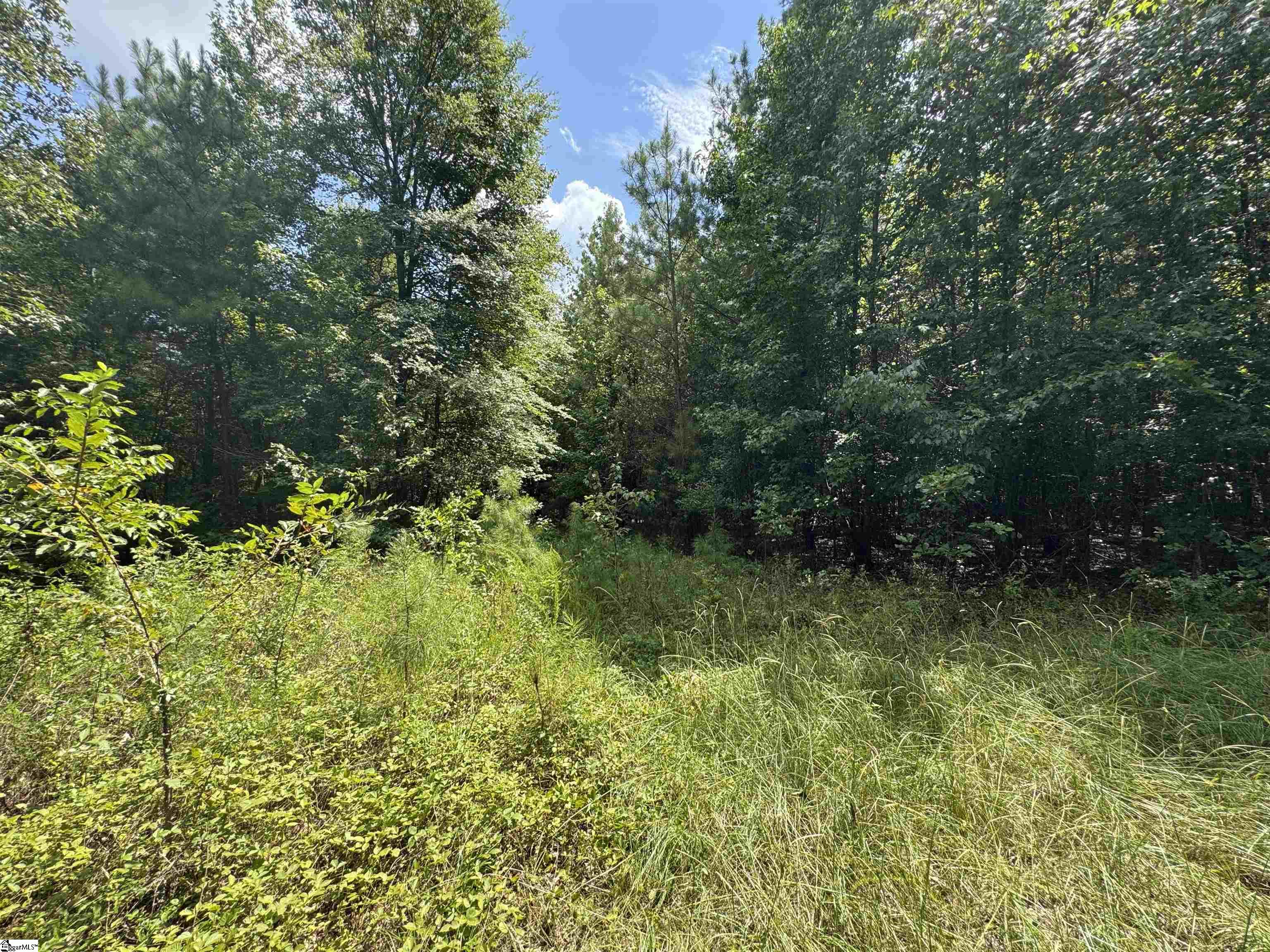 1324 Highway 81 N Calhoun Falls, SC 29628