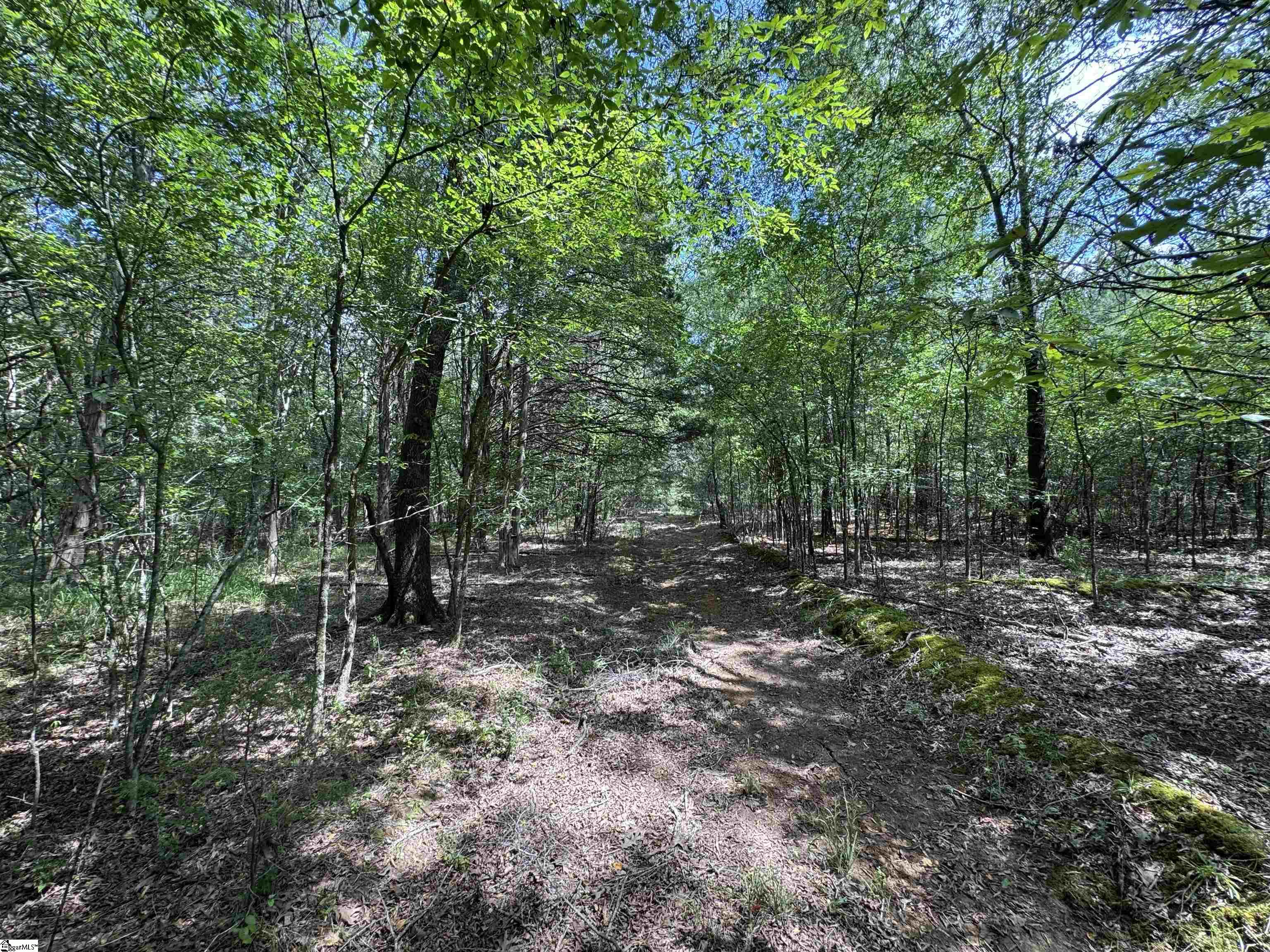 1324 Highway 81 N Calhoun Falls, SC 29628