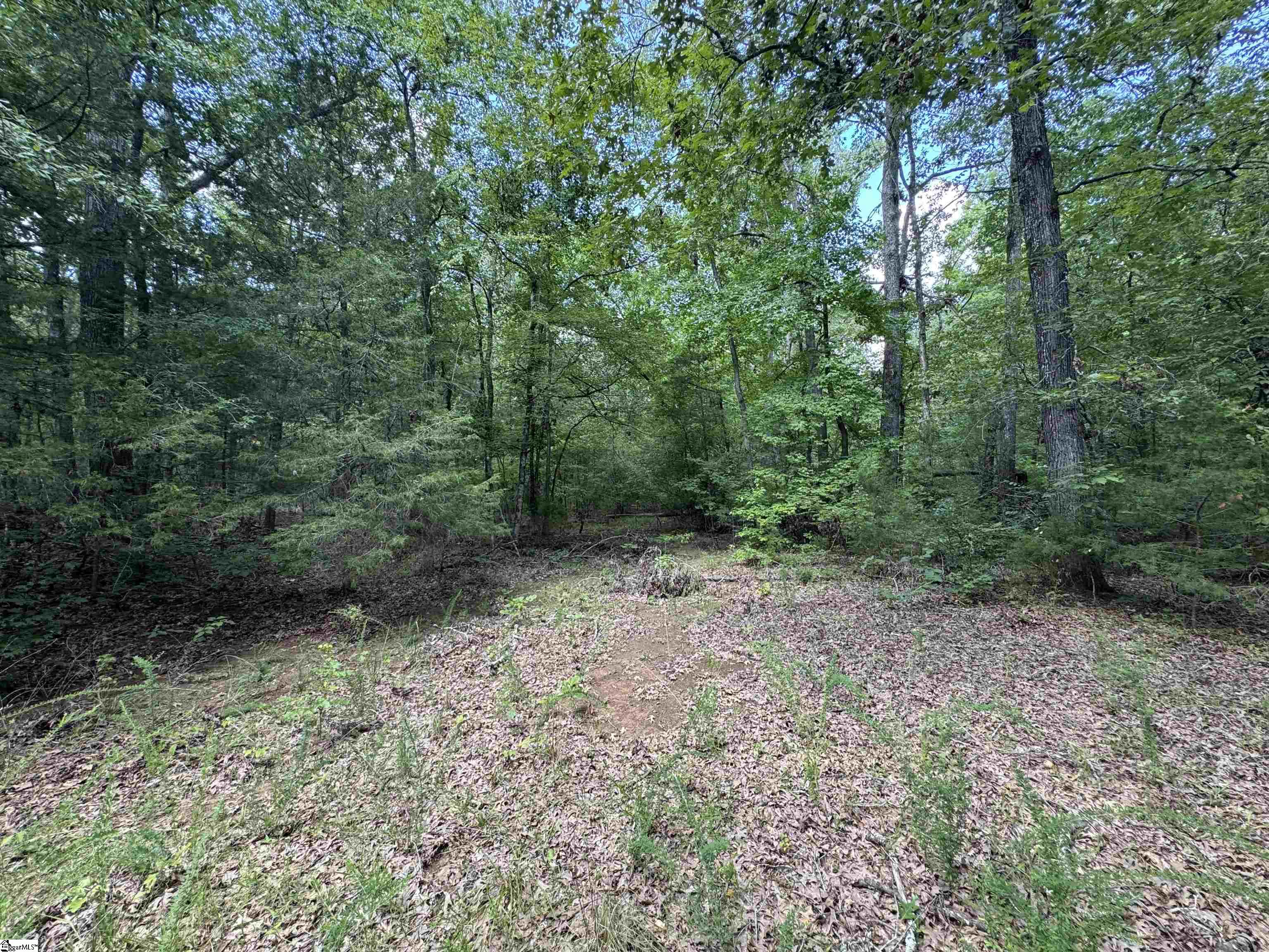 1324 Highway 81 N Calhoun Falls, SC 29628