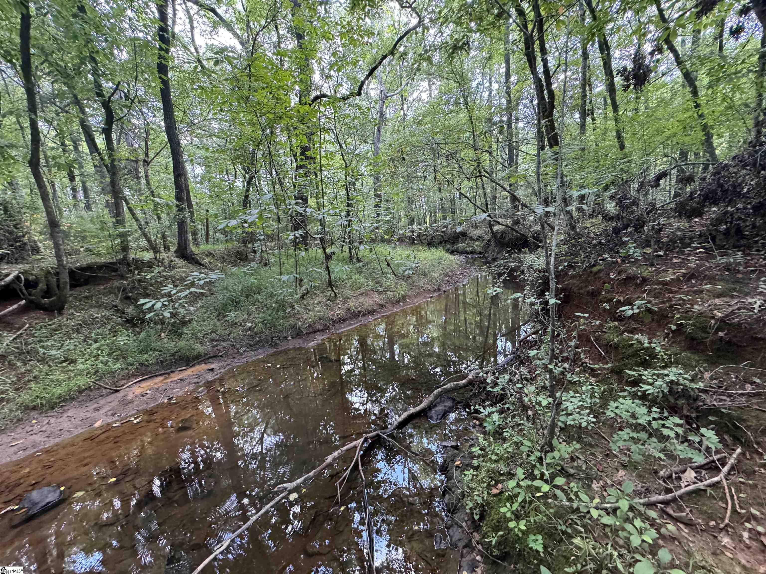 1324 Highway 81 N Calhoun Falls, SC 29628