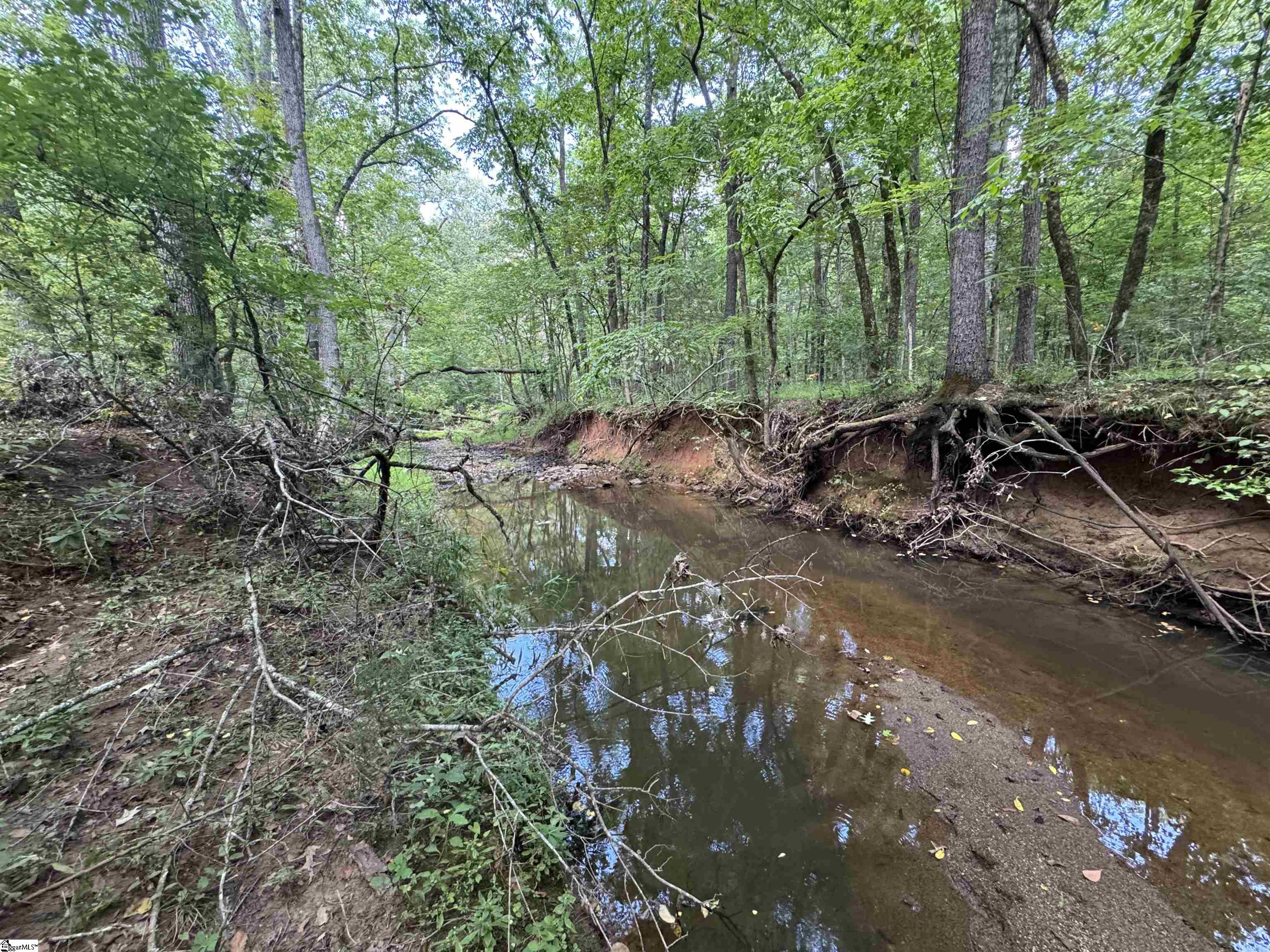 1324 Highway 81 N Calhoun Falls, SC 29628