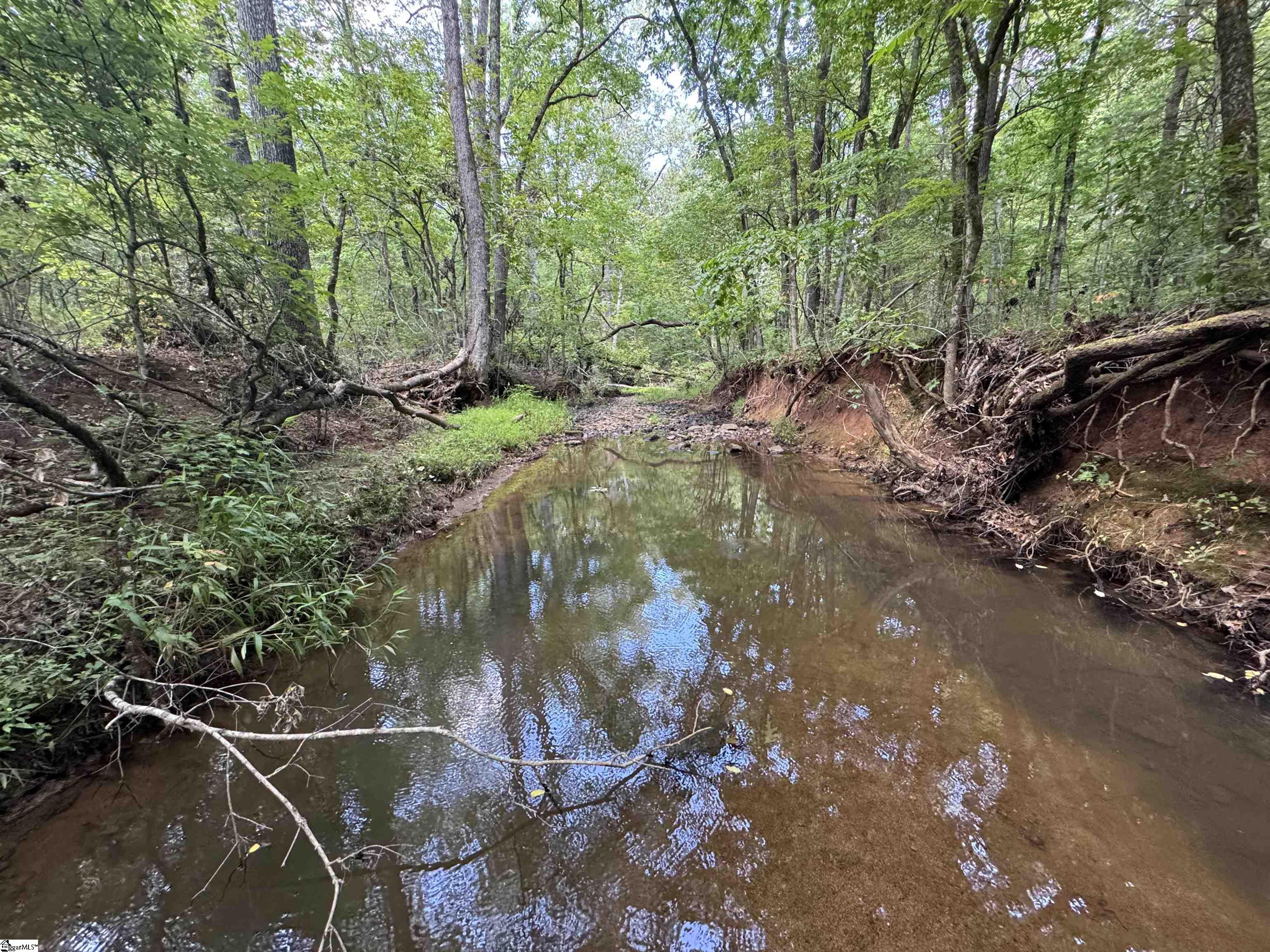 1324 Highway 81 N Calhoun Falls, SC 29628