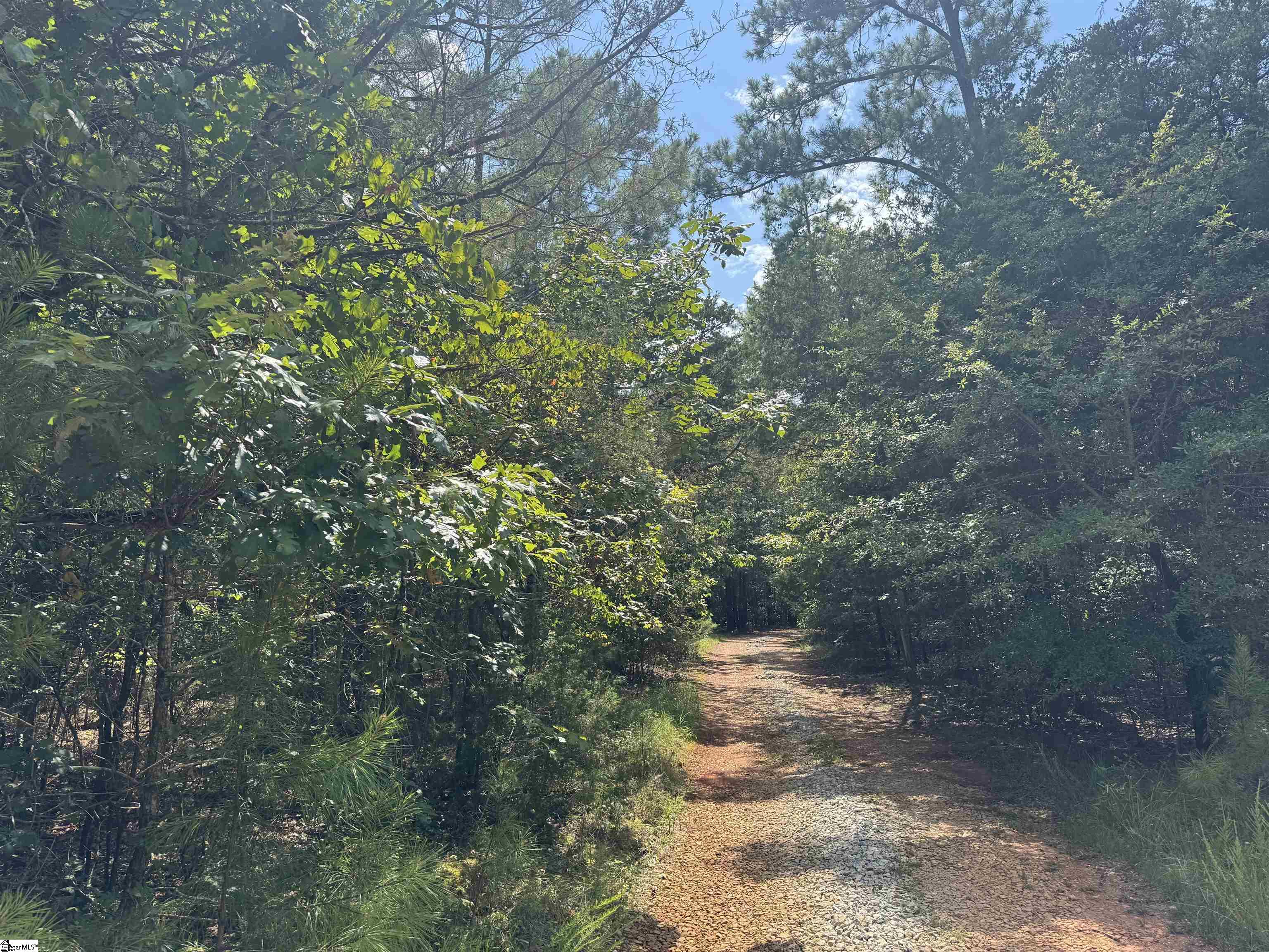 1324 Highway 81 N Calhoun Falls, SC 29628
