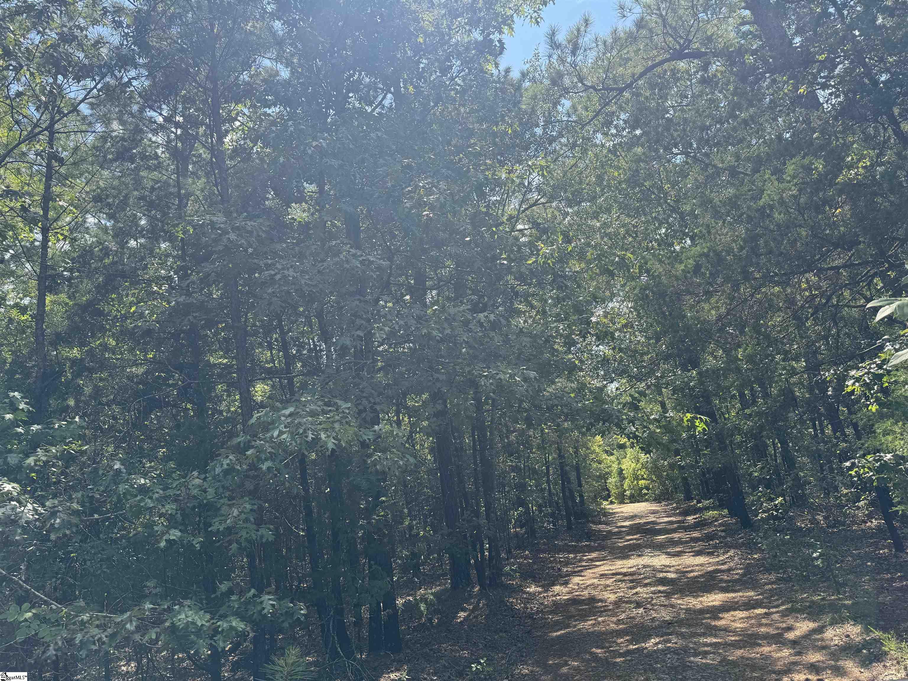 1324 Highway 81 N Calhoun Falls, SC 29628