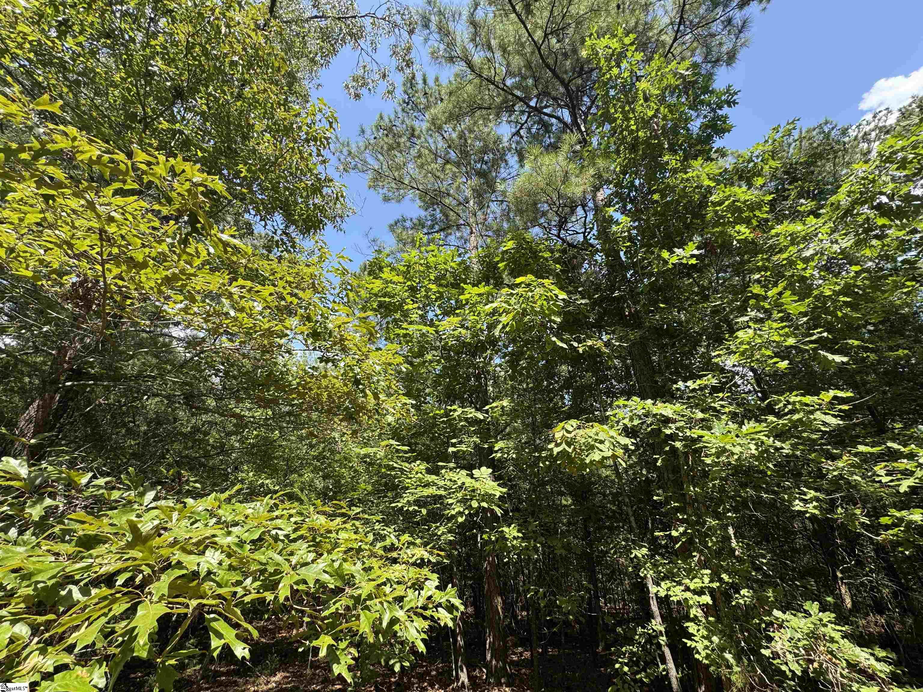 1324 Highway 81 N Calhoun Falls, SC 29628