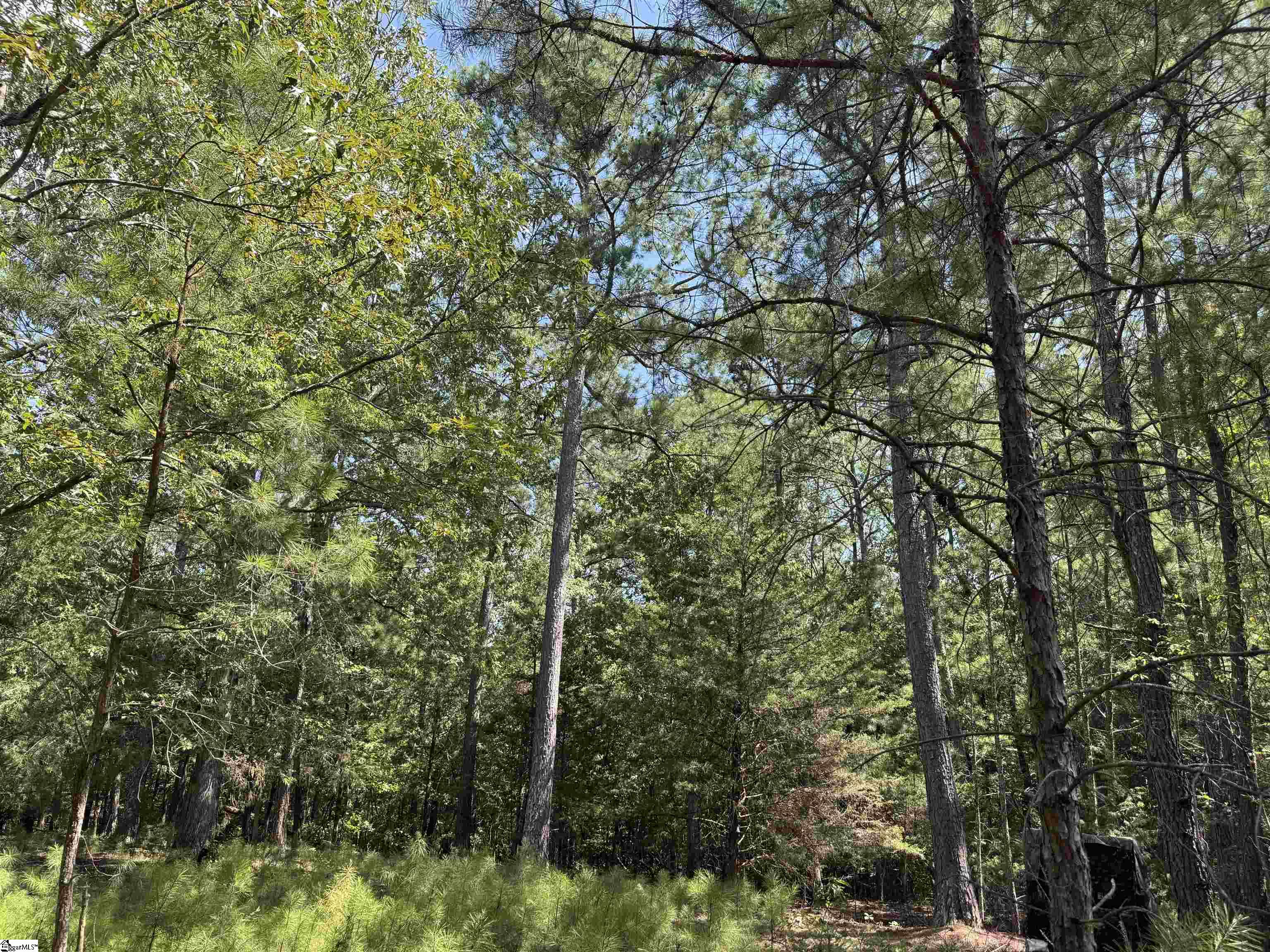 1324 Highway 81 N Calhoun Falls, SC 29628