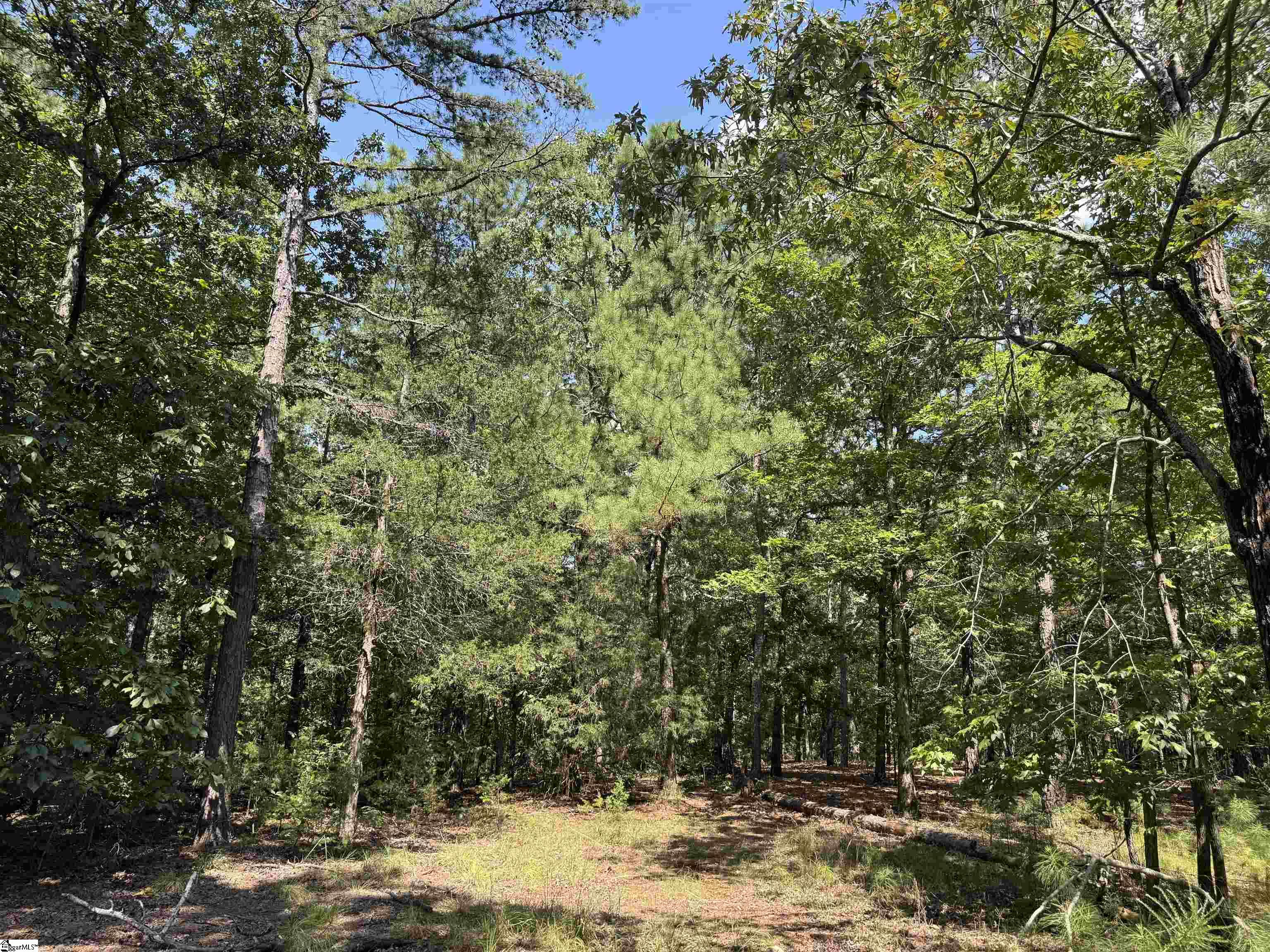 1324 Highway 81 N Calhoun Falls, SC 29628