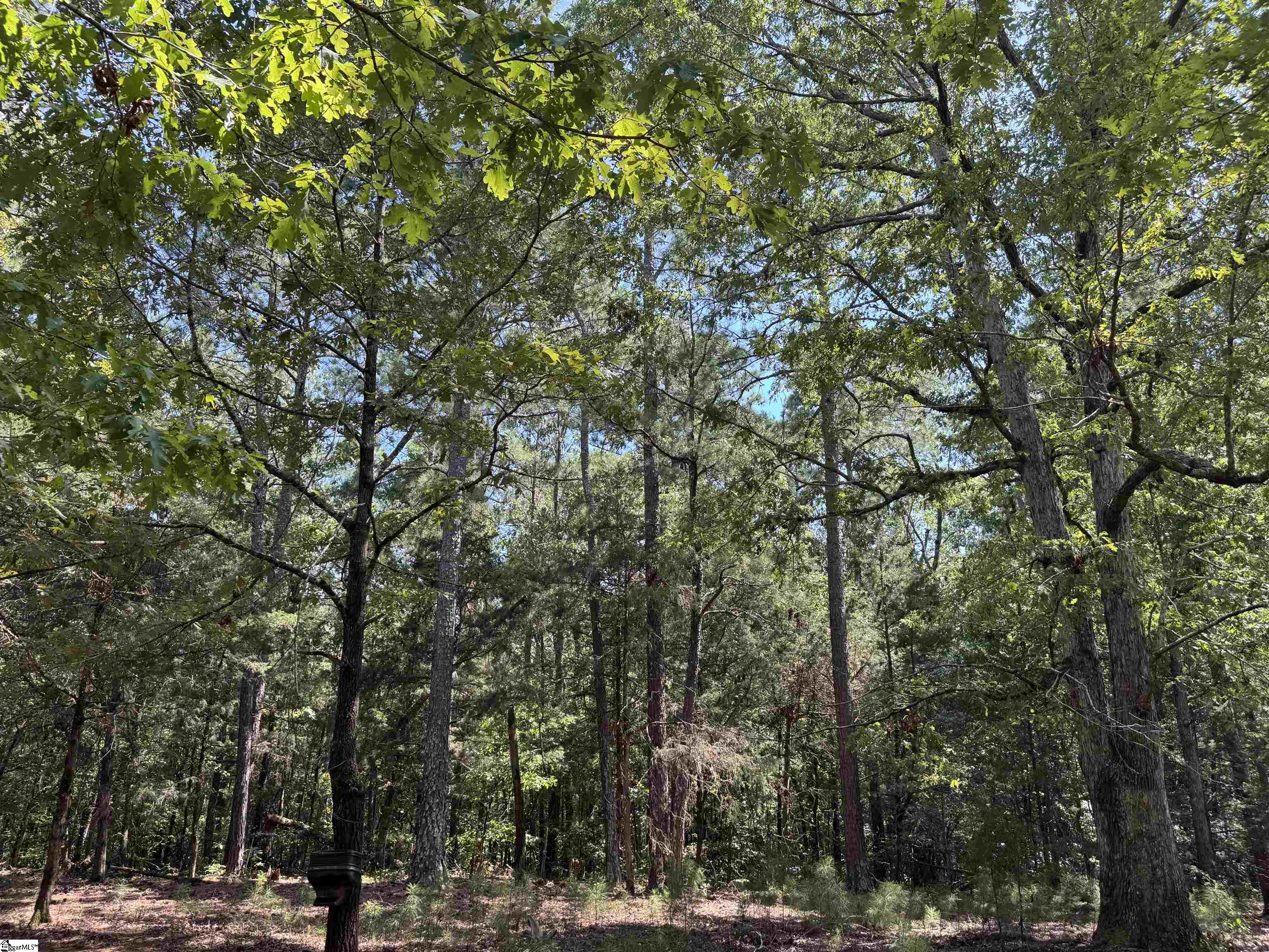 1324 Highway 81 N Calhoun Falls, SC 29628