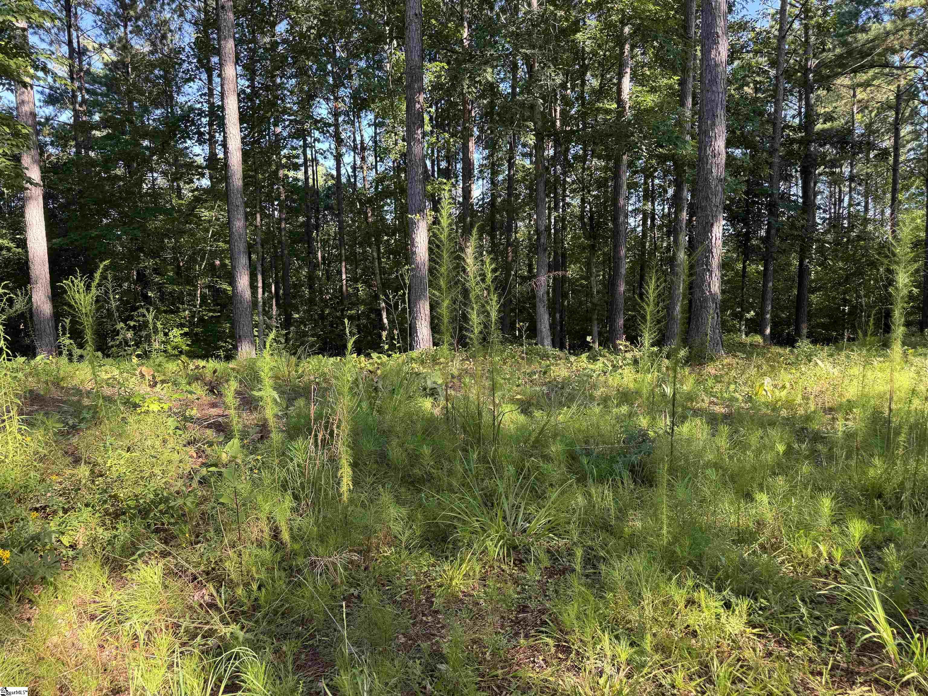 527 Brookgreen Trail Salem, SC 29676