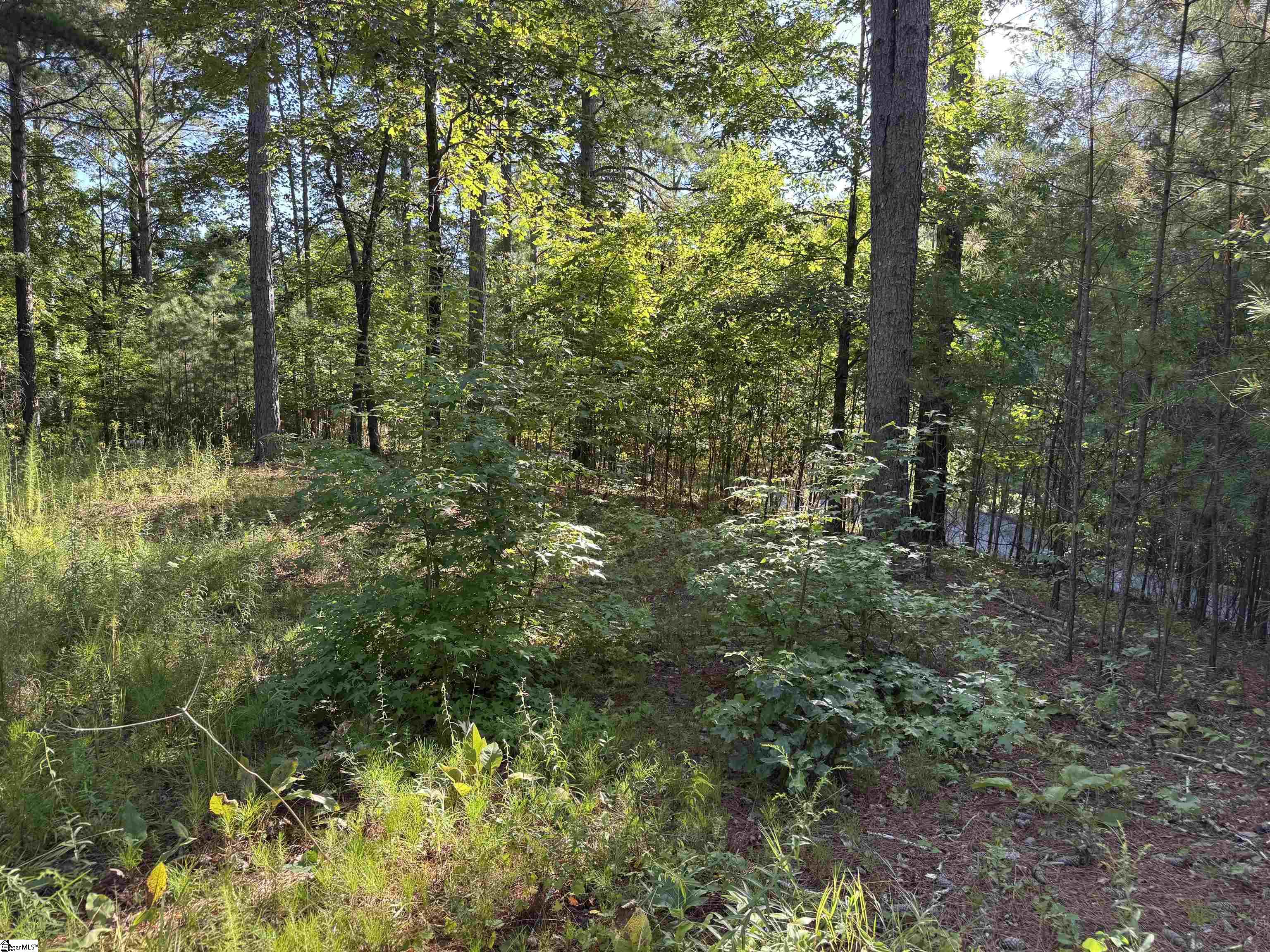 527 Brookgreen Trail Salem, SC 29676