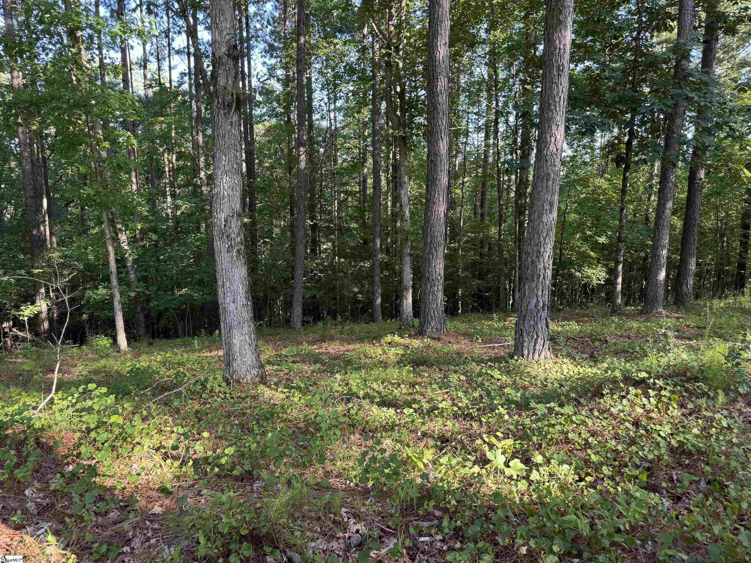 527 Brookgreen Trail Salem, SC 29676