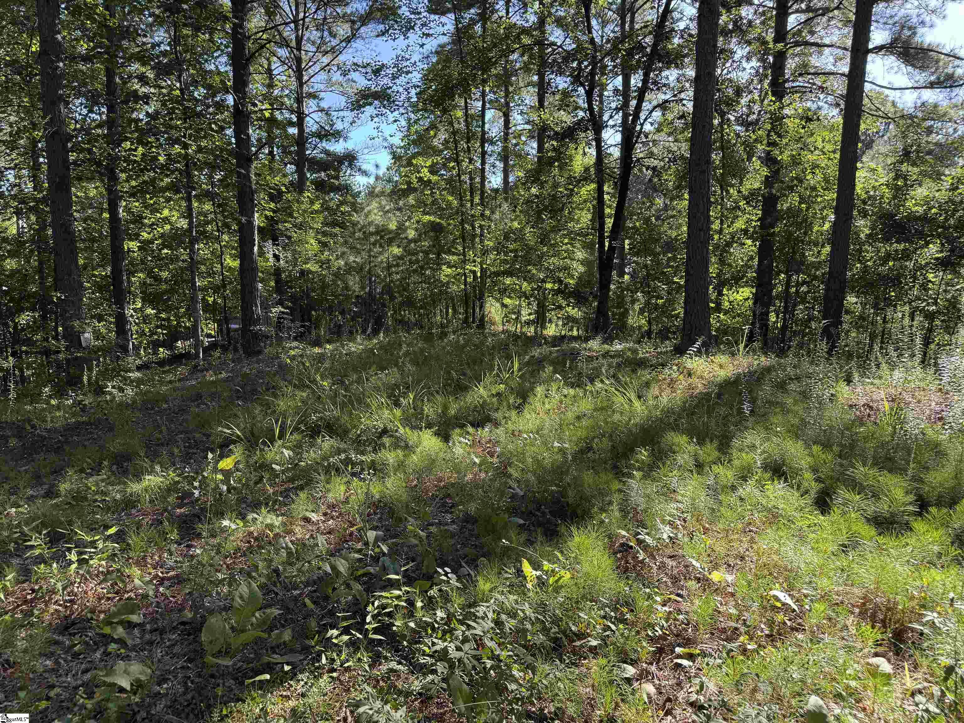 527 Brookgreen Trail Salem, SC 29676