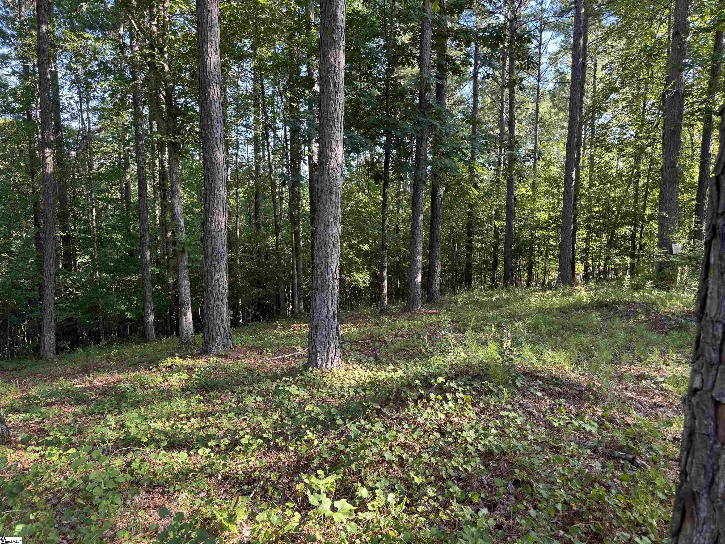 527 Brookgreen Trail Salem, SC 29676
