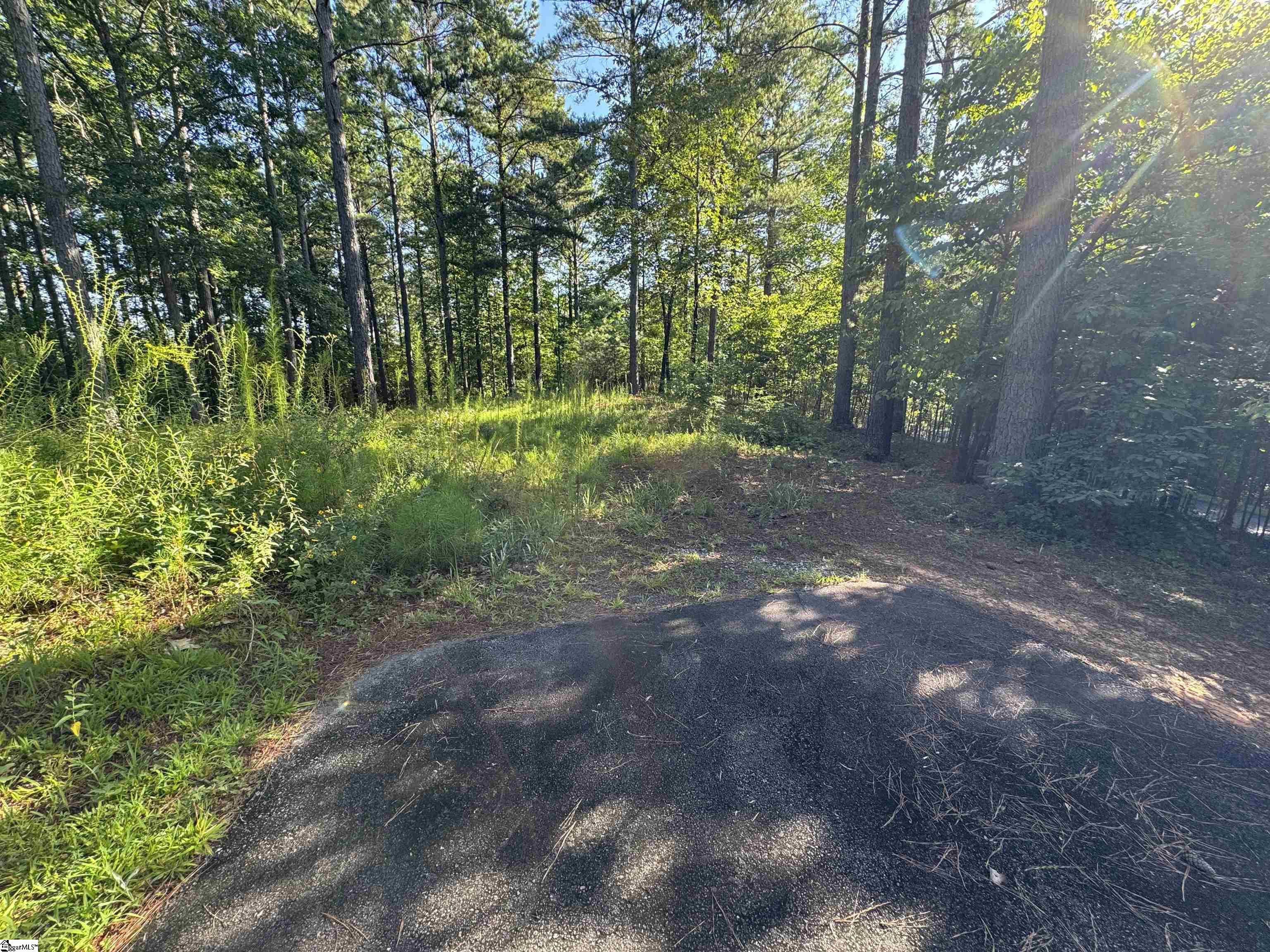 527 Brookgreen Trail Salem, SC 29676