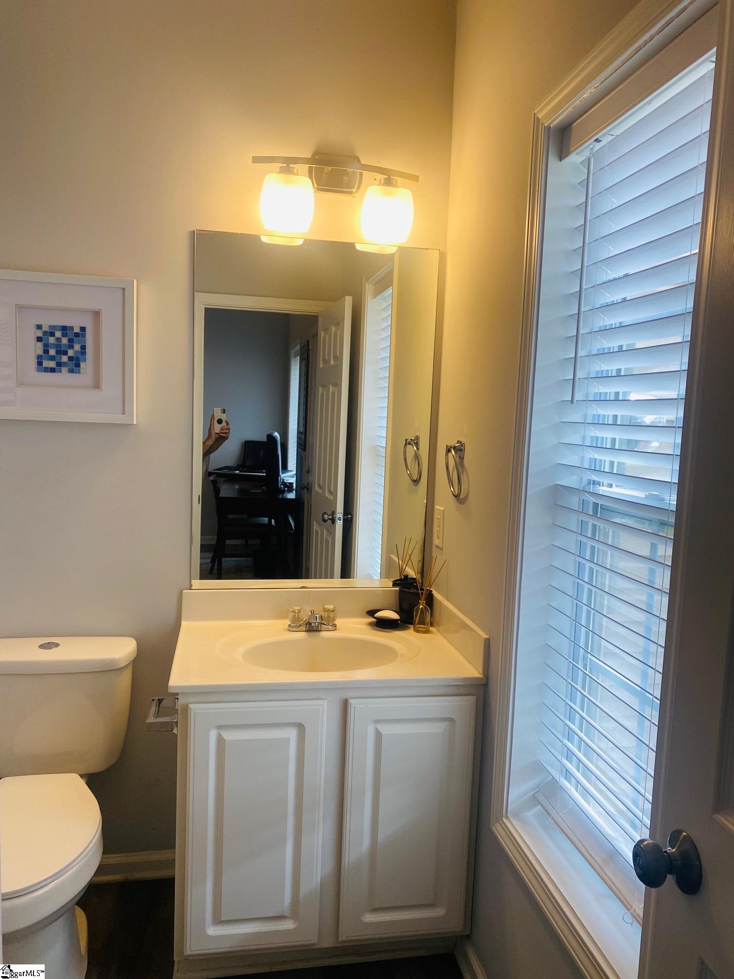402 Chamonix Court Greenville, SC 29607-6208