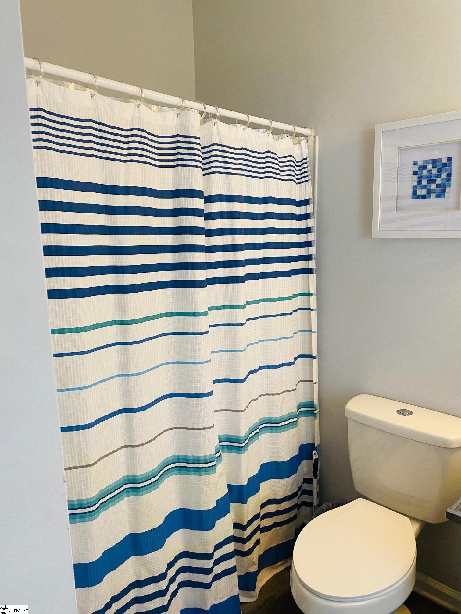402 Chamonix Court Greenville, SC 29607-6208