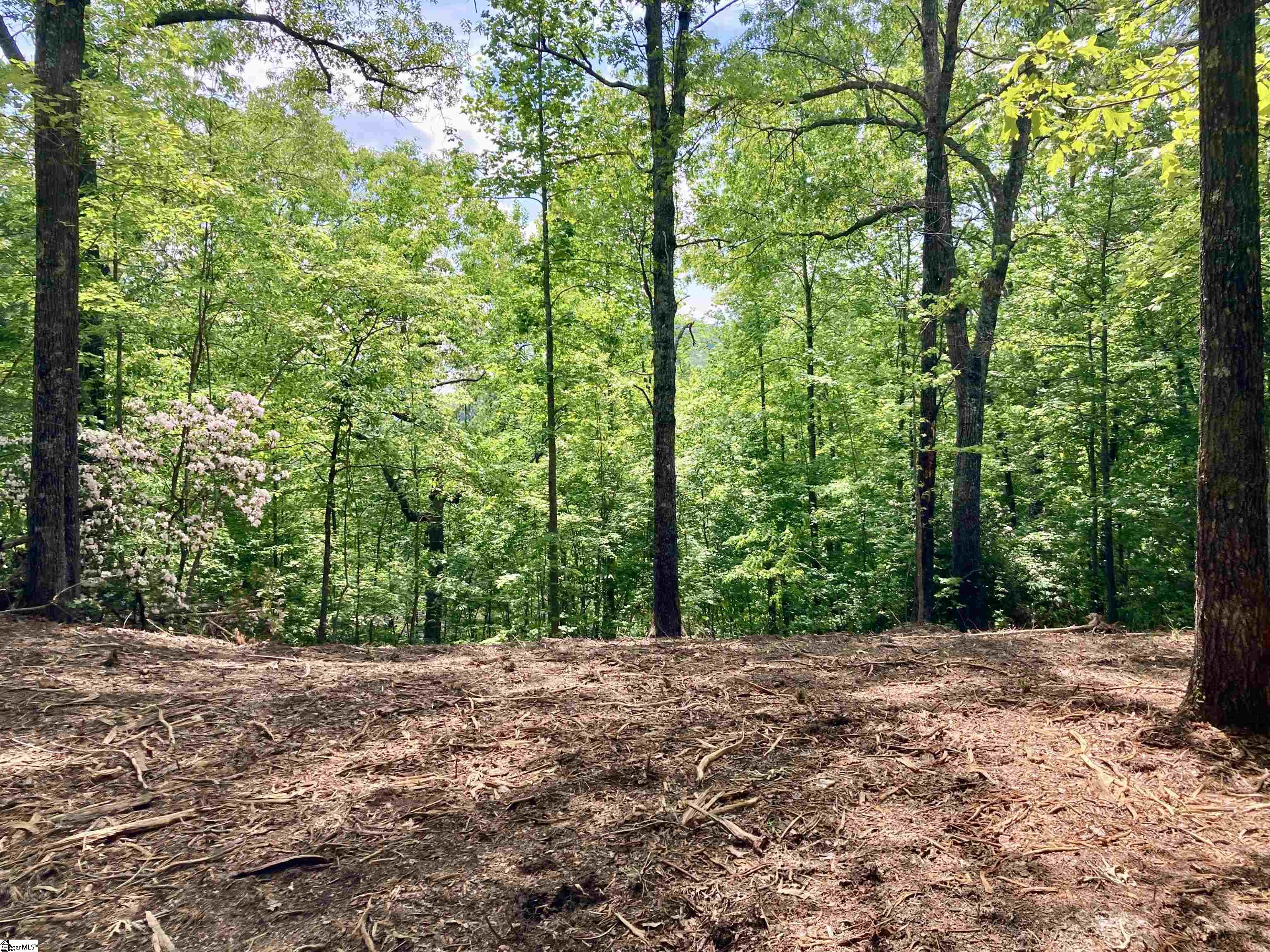 5 Water View Court Travelers Rest, SC 29690