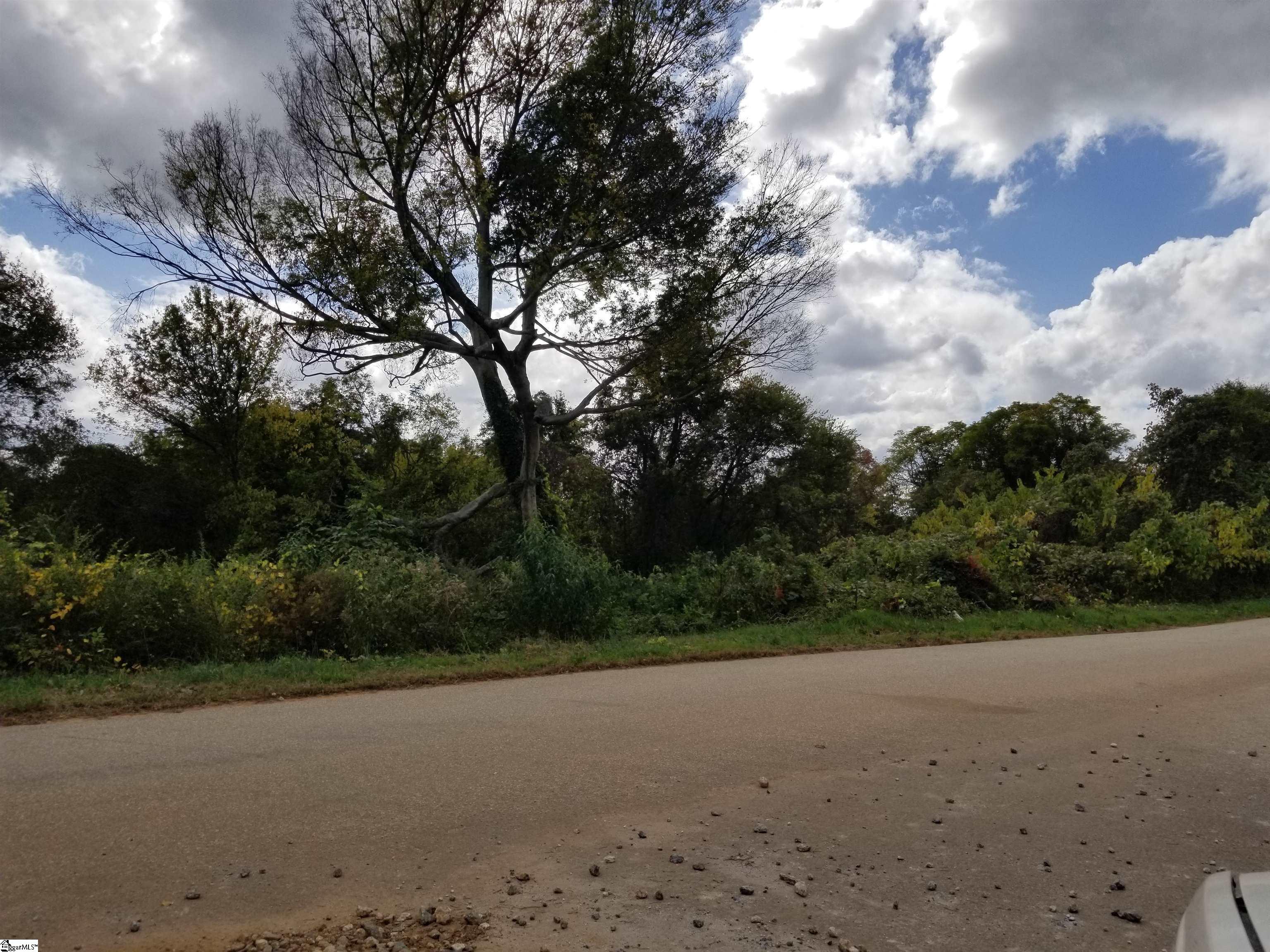 Leonard Road Duncan, SC 29334