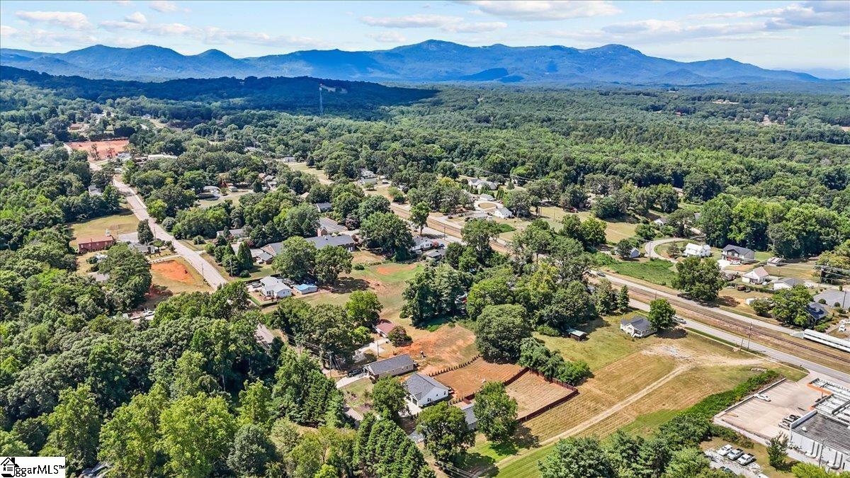 204 N Randolph Avenue Landrum, SC 29356
