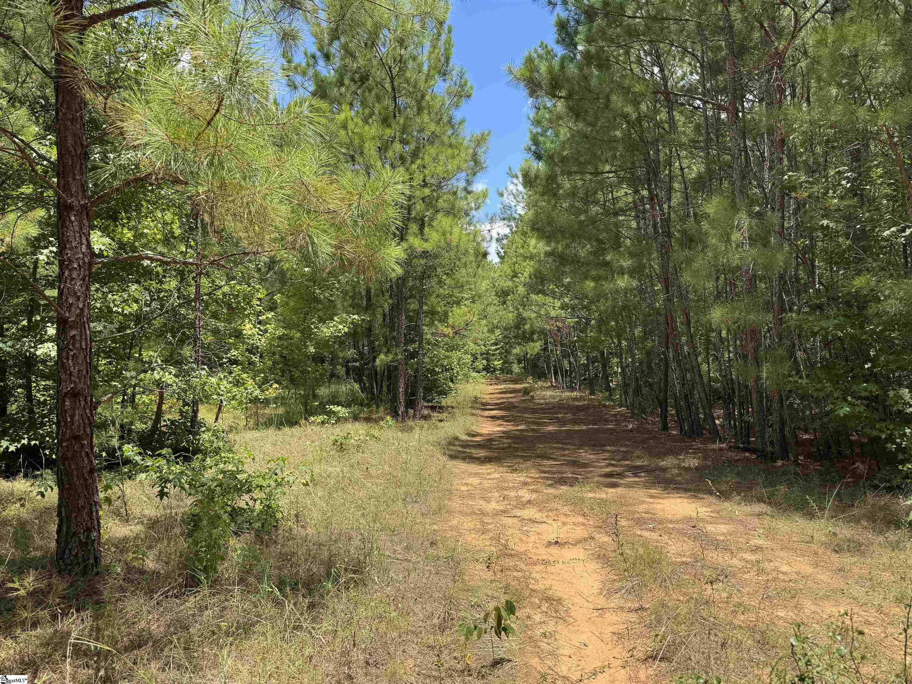 300 N Major Road Belton, SC 29627