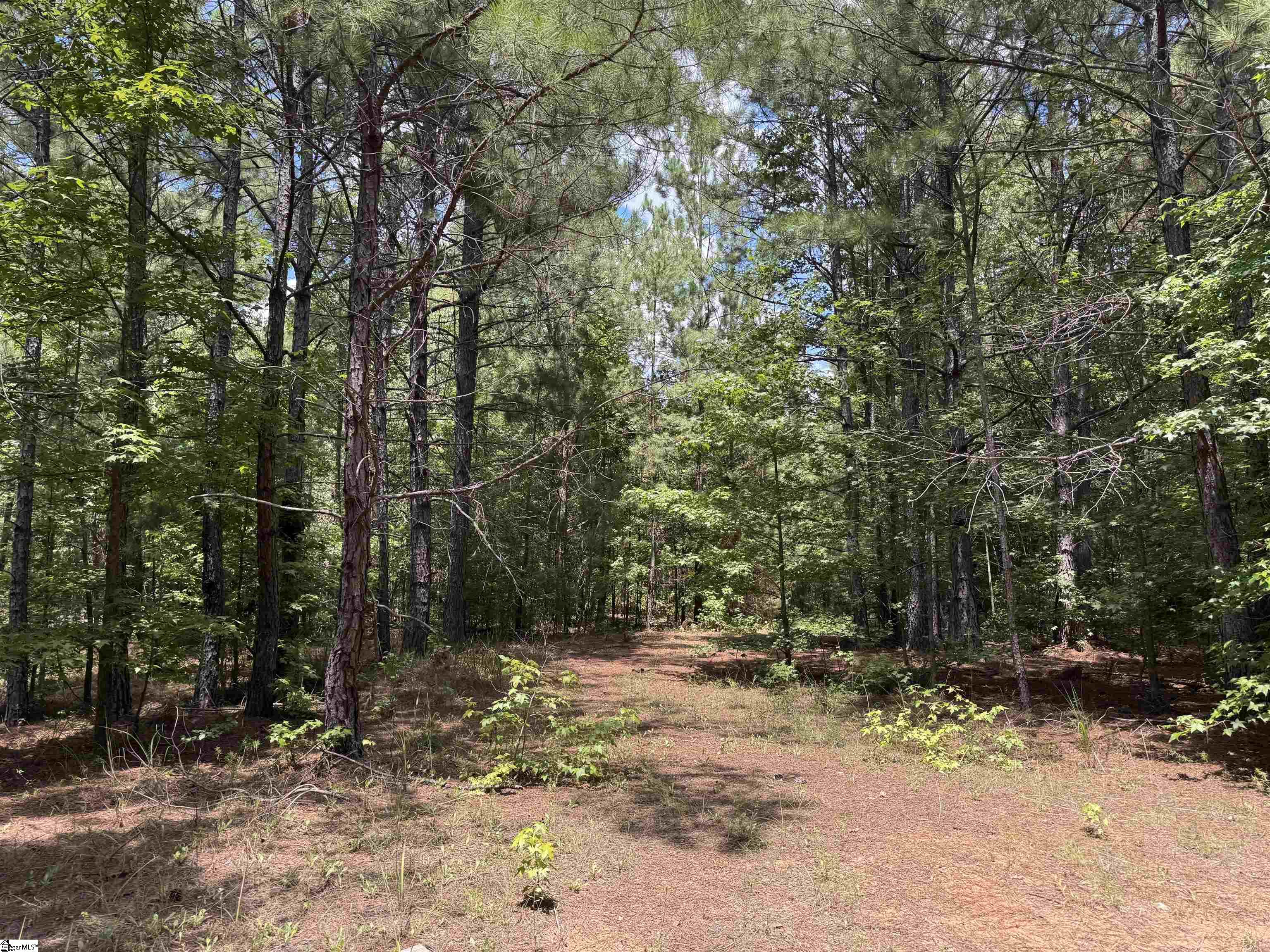 300 N Major Road Belton, SC 29627