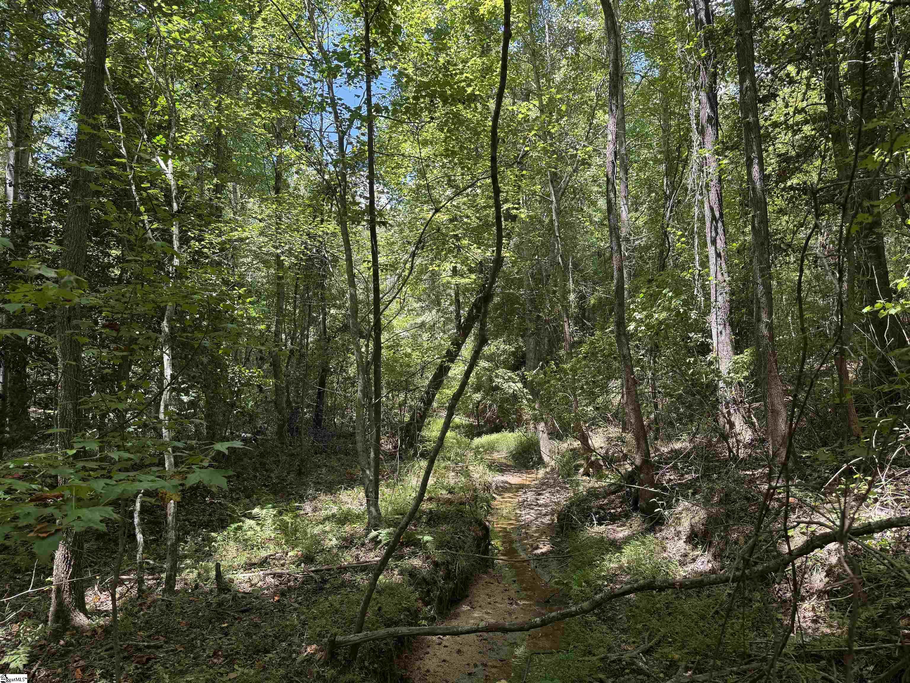300 N Major Road Belton, SC 29627