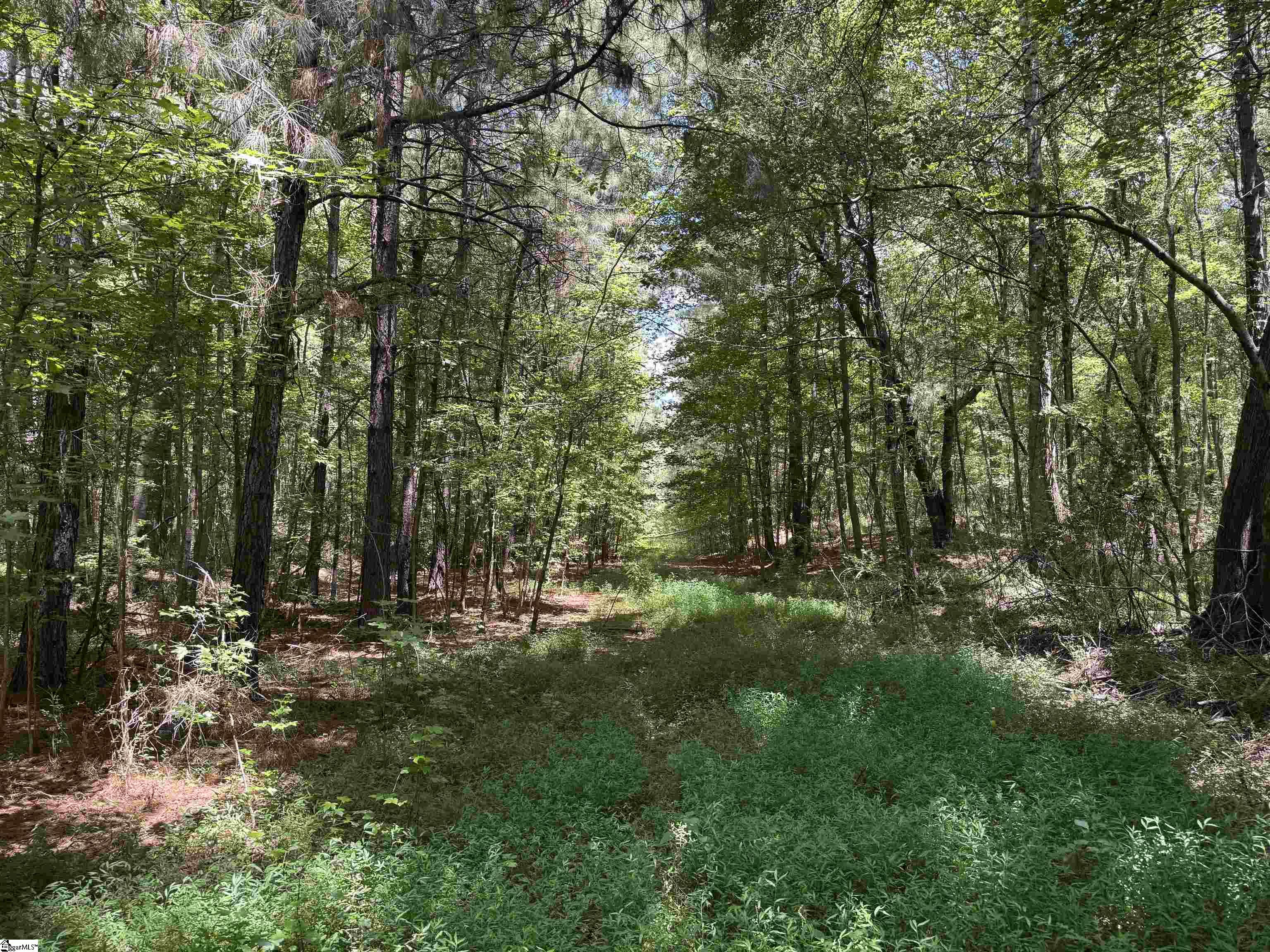 300 N Major Road Belton, SC 29627
