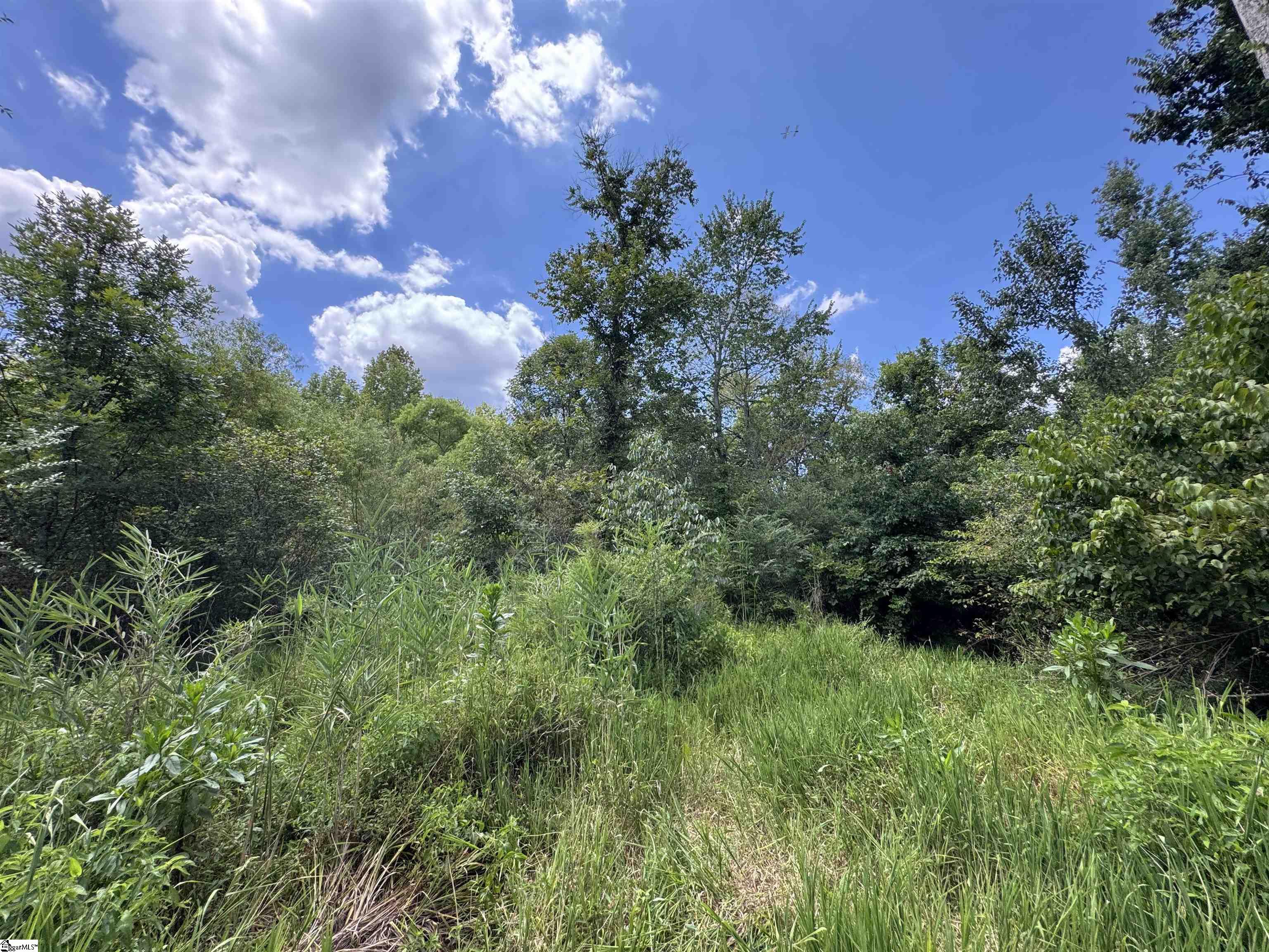 300 N Major Road Belton, SC 29627