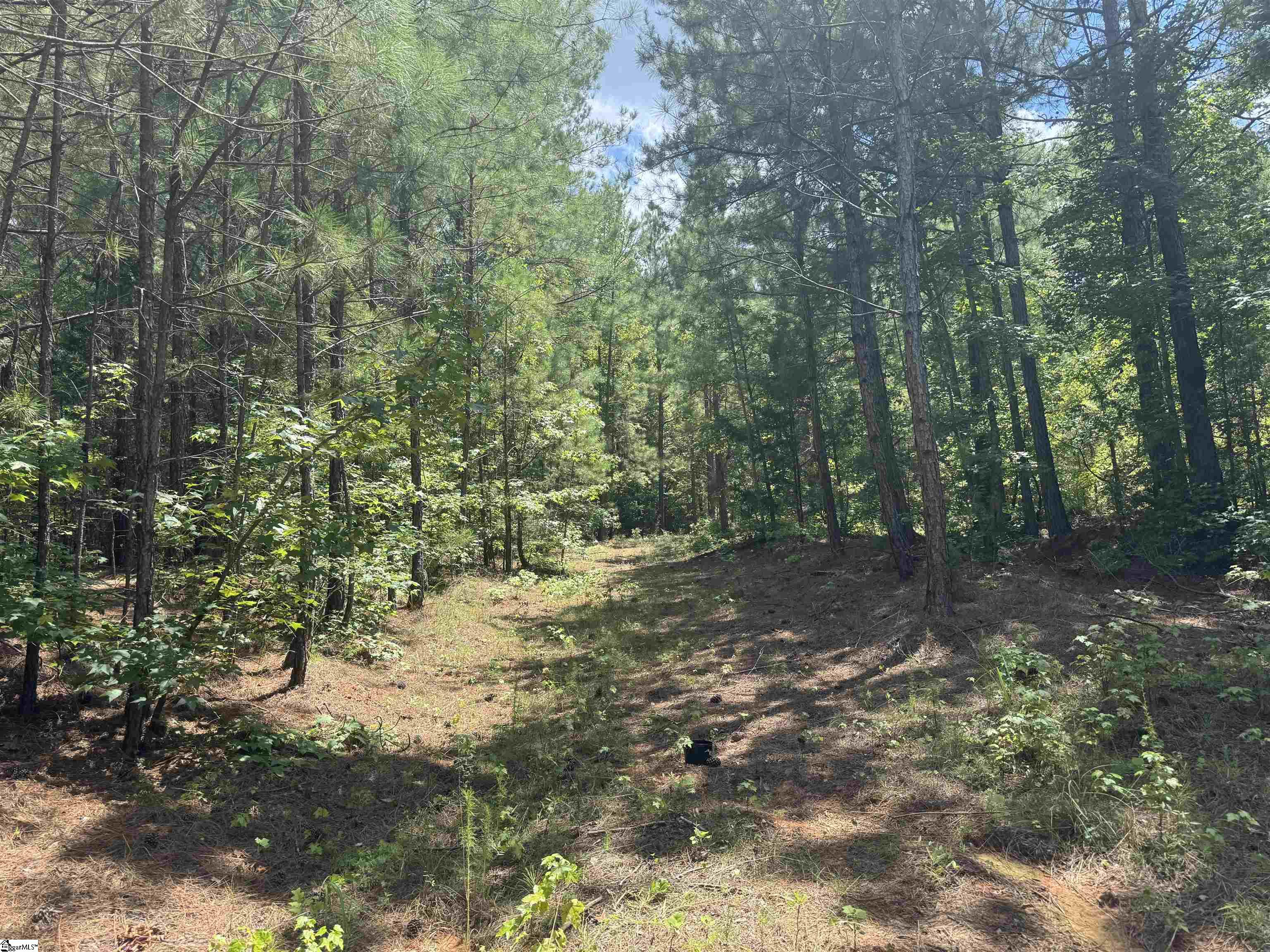 300 N Major Road Belton, SC 29627