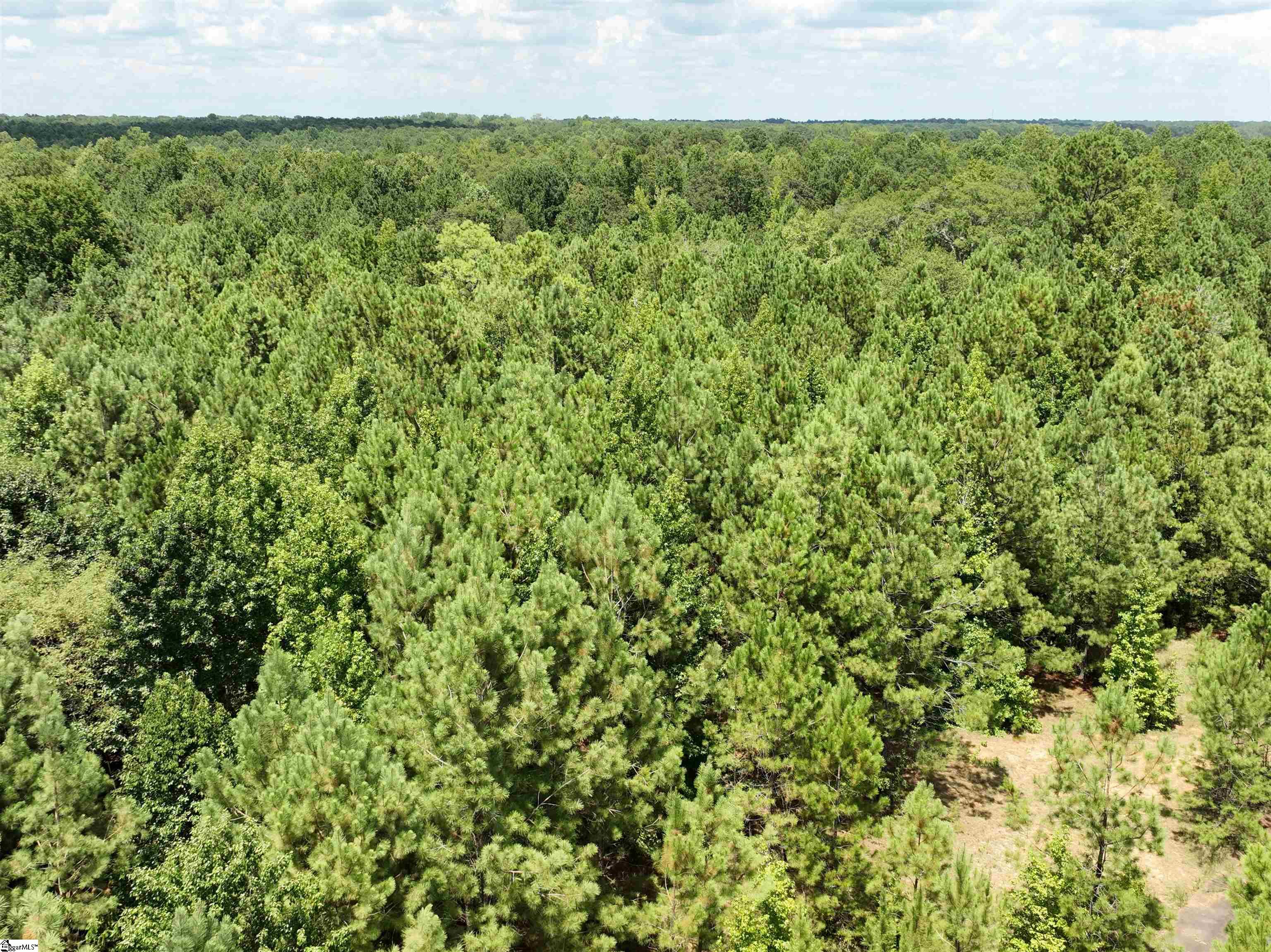 300 N Major Road Belton, SC 29627