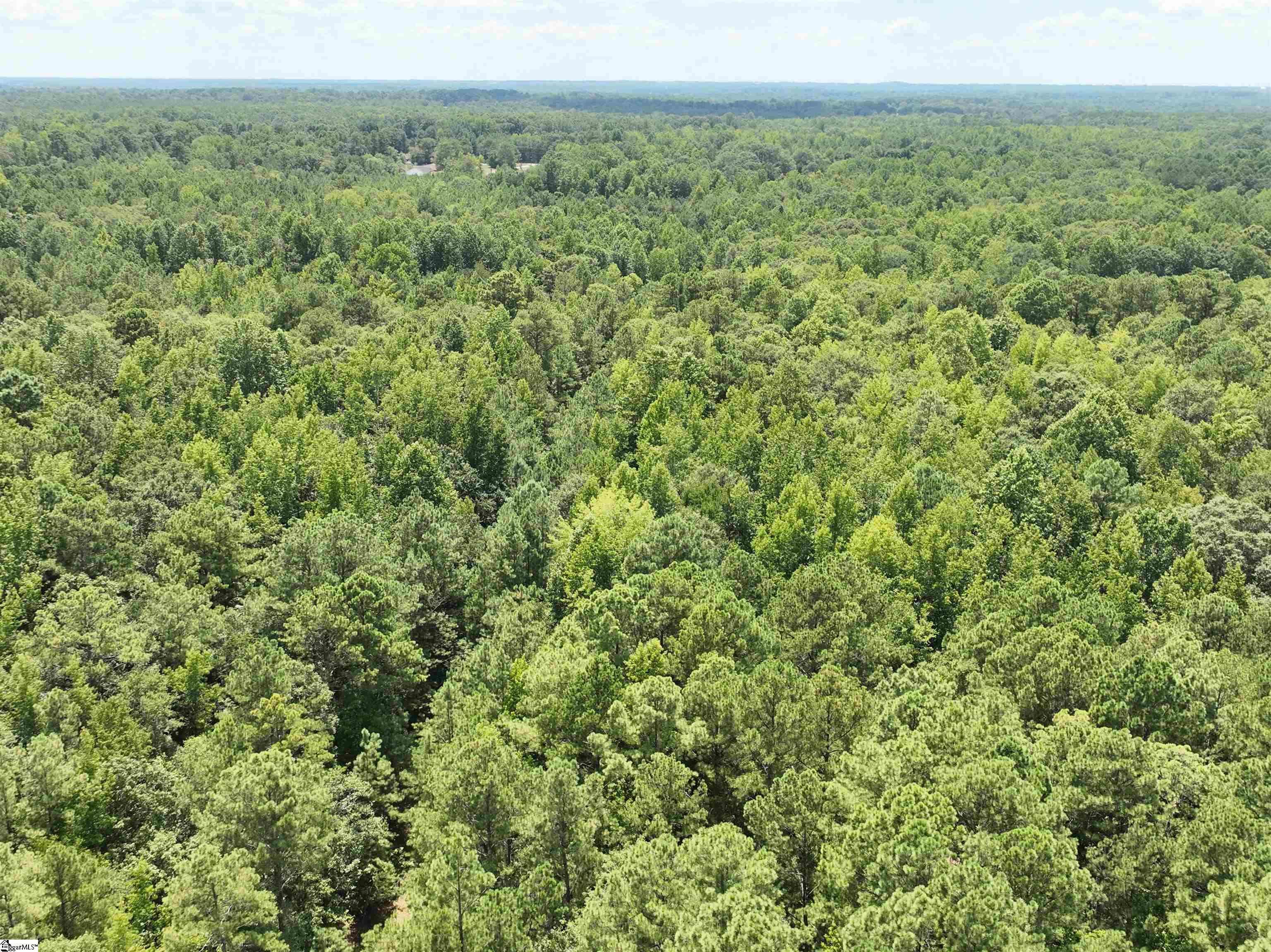 300 N Major Road Belton, SC 29627