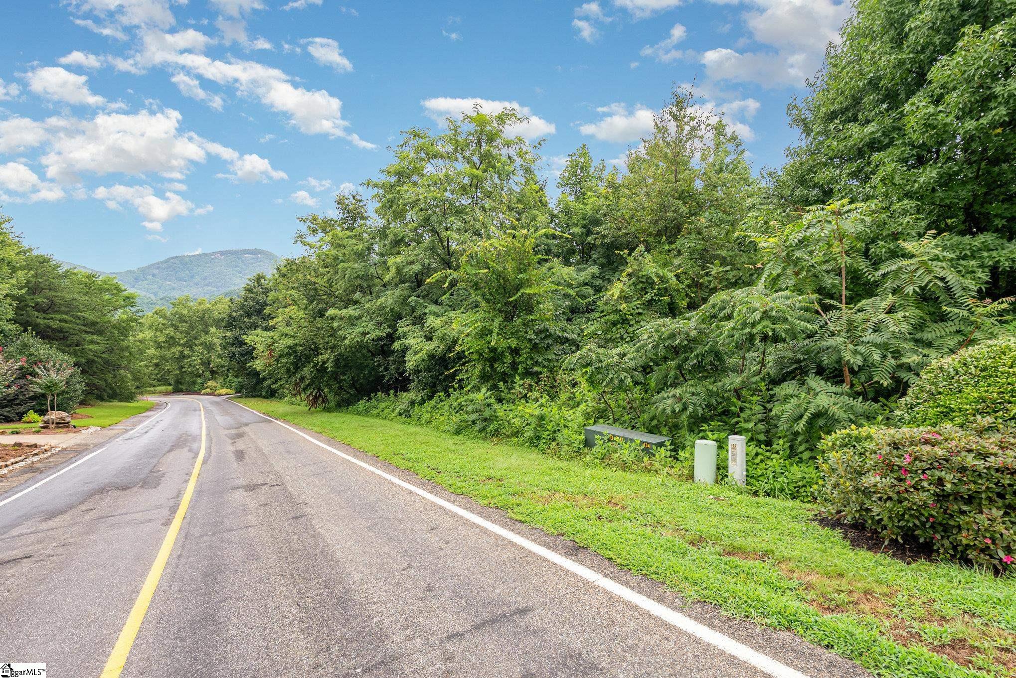 83 Eagle Rock Road Landrum, SC 29356