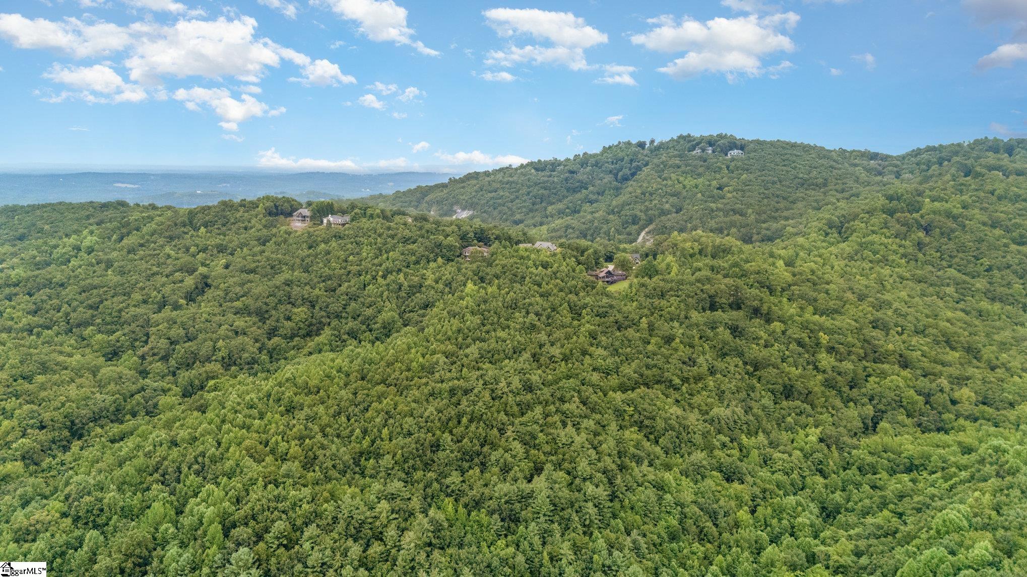 83 Eagle Rock Road Landrum, SC 29356