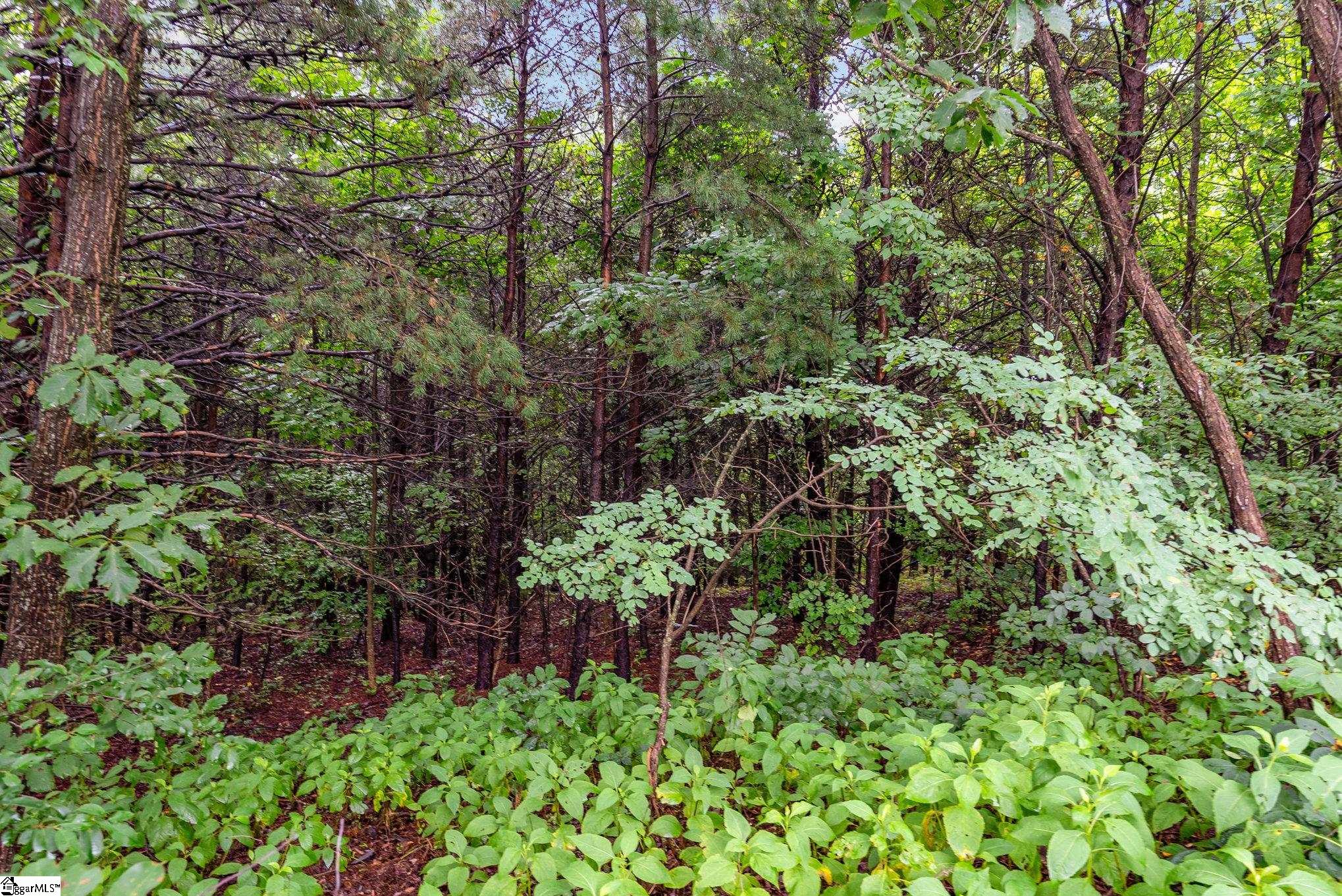 83 Eagle Rock Road Landrum, SC 29356