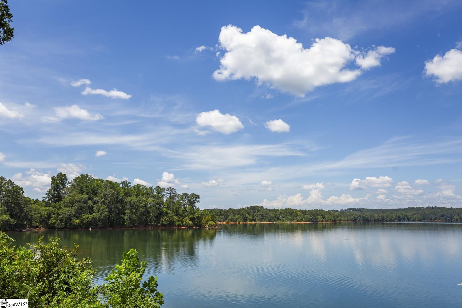 117 Riverpoint Drive Clemson, SC 29631