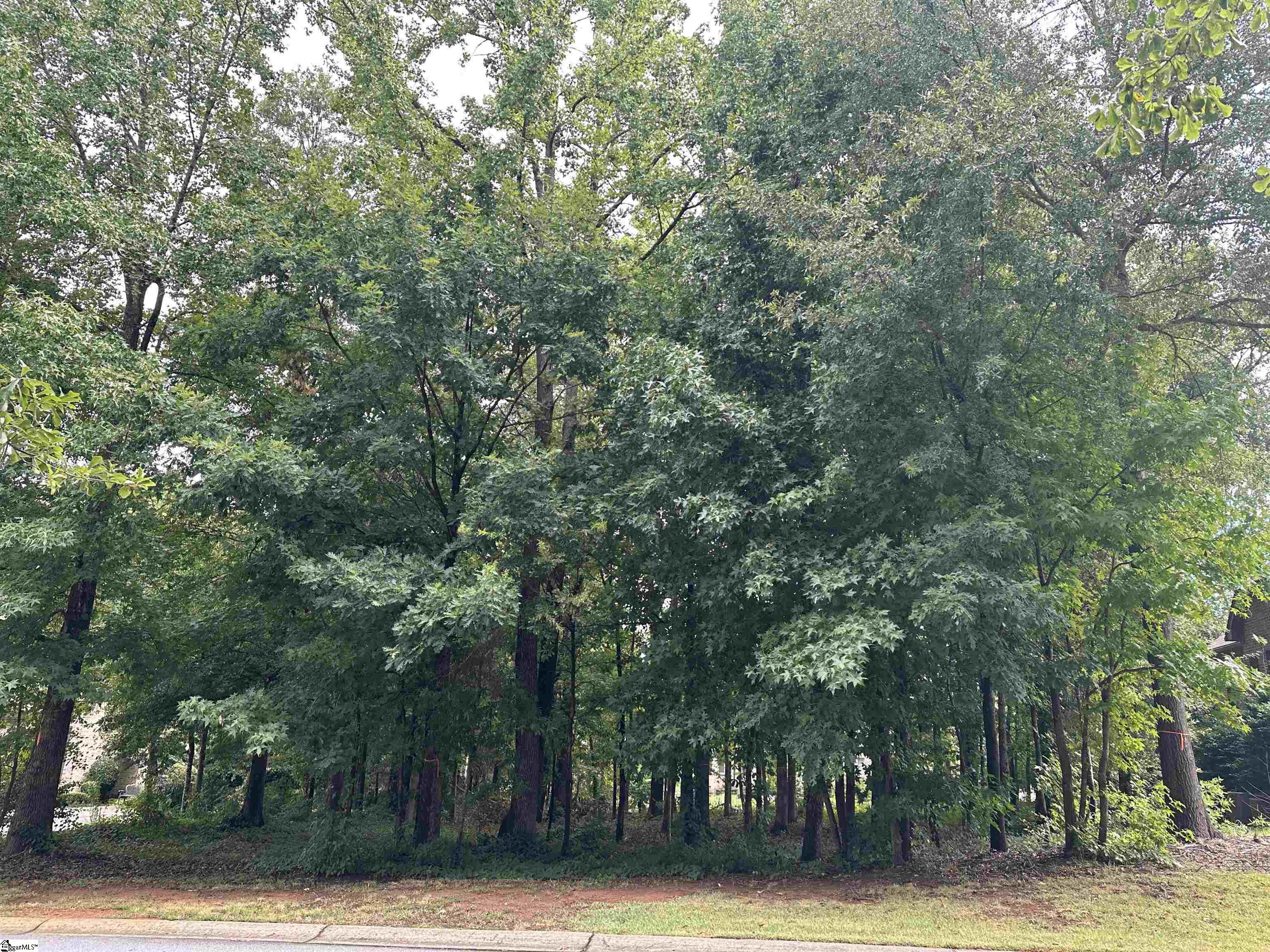 15 Sable Glen Drive Greenville, SC 29615