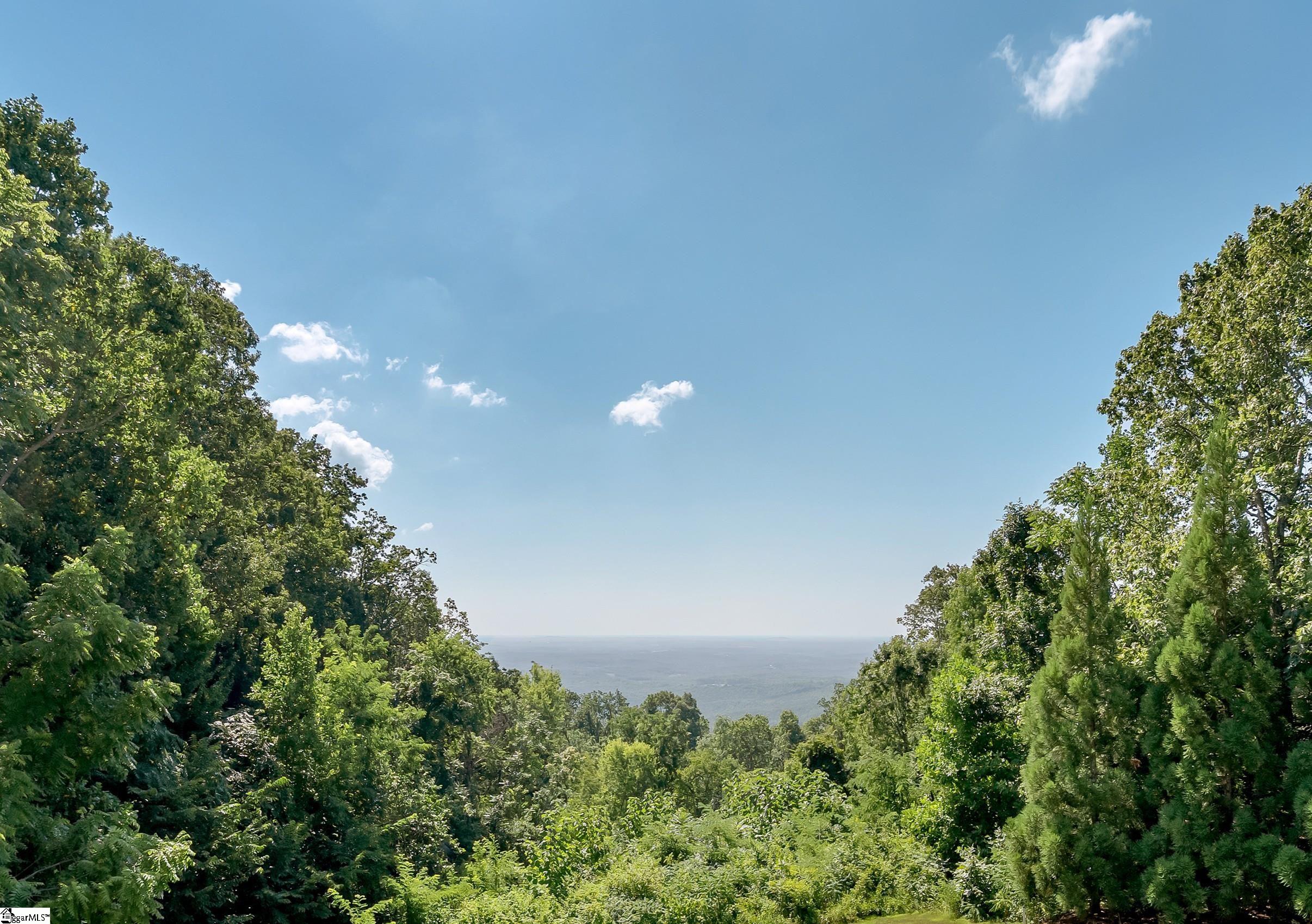 605 Raven Road Landrum, SC 29356