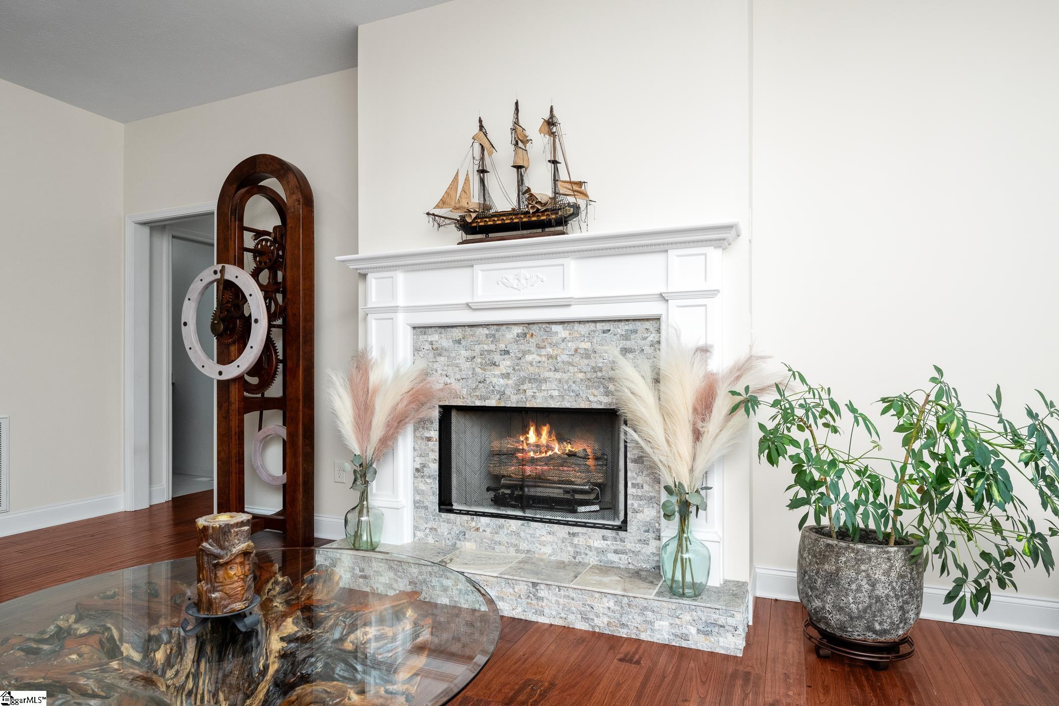 205 Turtlehead Drive Salem, SC 29676