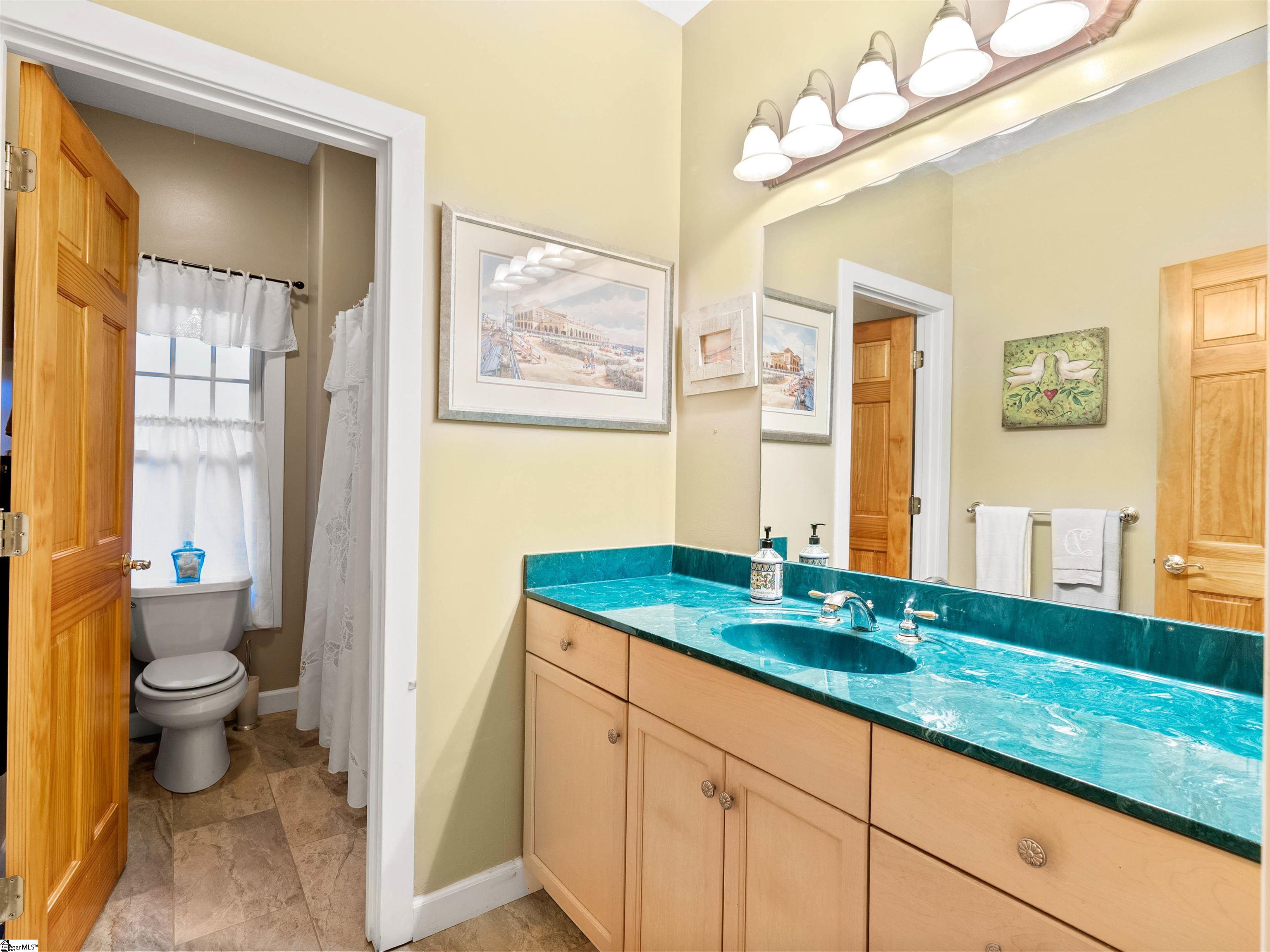 3 Rocky Gap Court Landrum, SC 29356